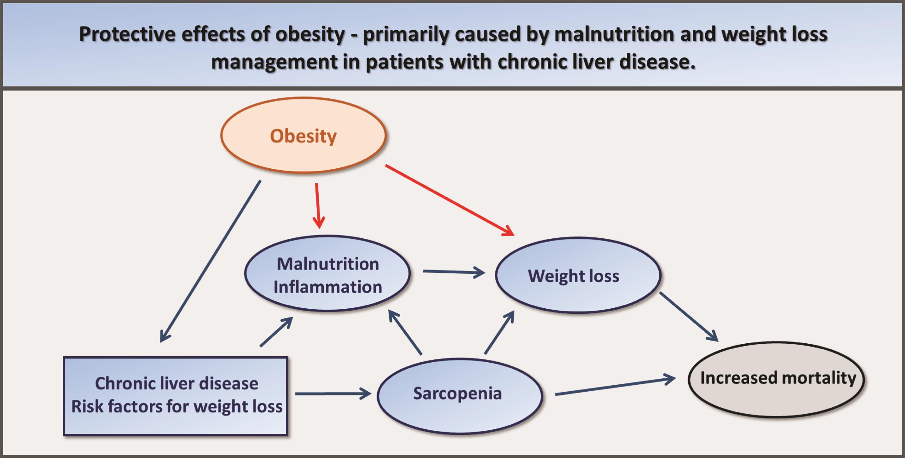 Schematic presentation of obesity as a risk factor for chronic liver diseases, such as NASH and NAFLD.