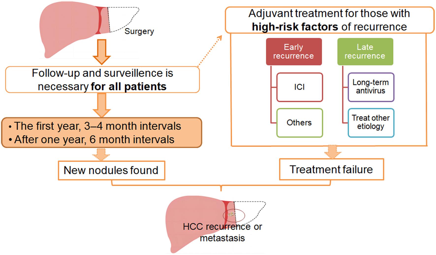 Follow-up and surveillance, recurrent modality, and adjuvant treatment strategy in patients with hepatocellular carcinoma (HCC) after curative hepatectomy or local ablation.