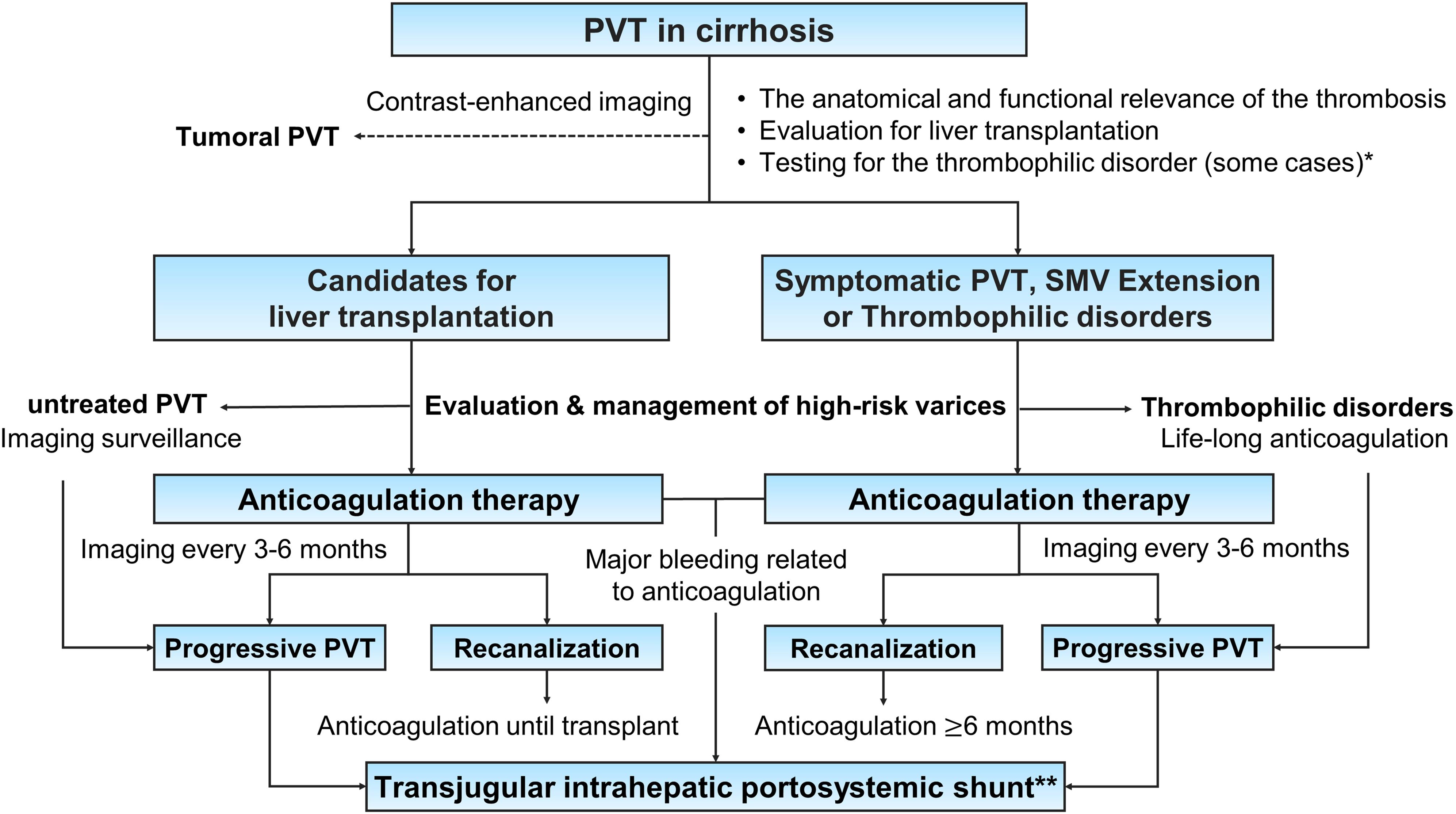 <bold>Potential algorithm for the management of nontumoral portal vein thrombosis (PVT) in liver cirrhosis.</bold> *Lupus anticoagulant, anticardiolipin, anti-β2-glycoprotein 1 antibody, factor V Leiden, 20210A prothrombin gene mutation, methylene tetrahydrofolate reductase gene mutation, JAK2 V617F mutation and work-up for paroxysmal nocturnal hemoglobinuria. **Limited technical feasibility in low-volume center, superior mesenteric vein (SMV) thrombosis and portal cavernoma.