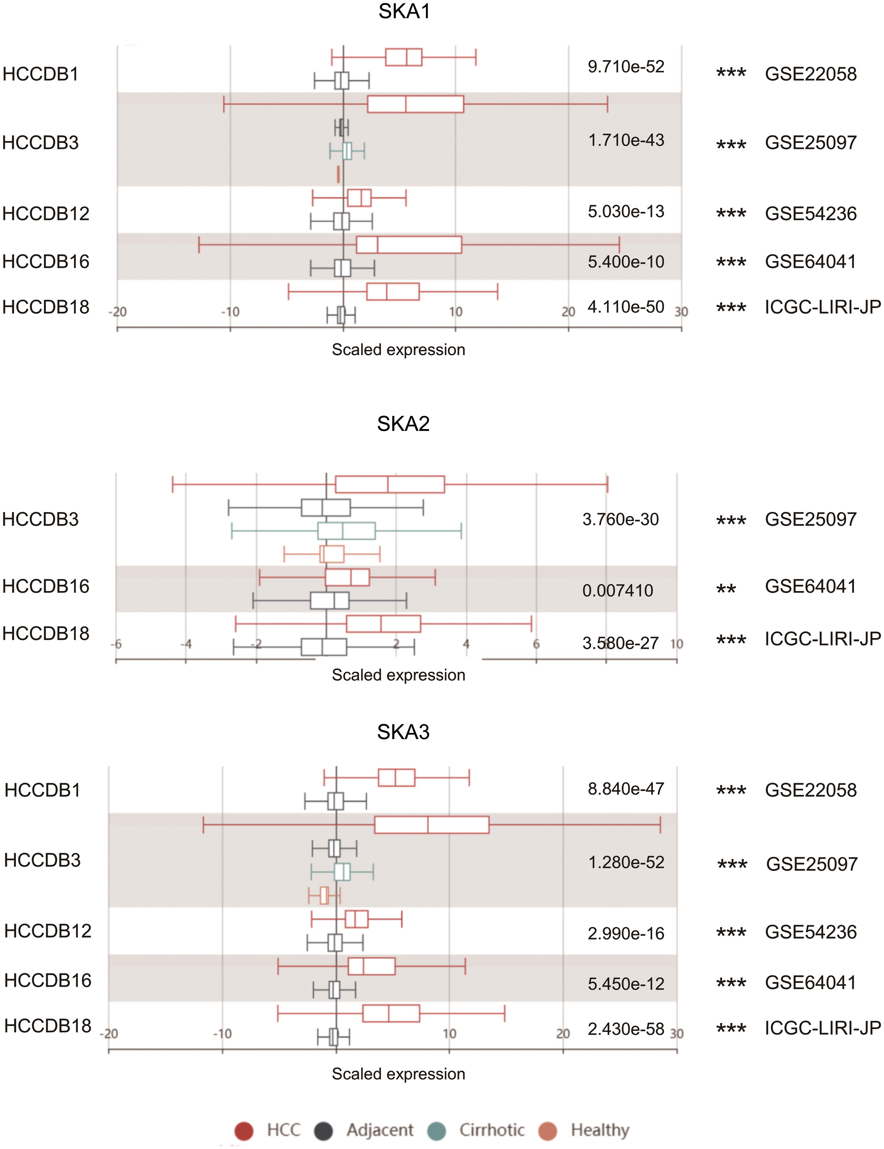 mRNA level of SKA family genes in different GEO and ICGC datasets (HCCDB).