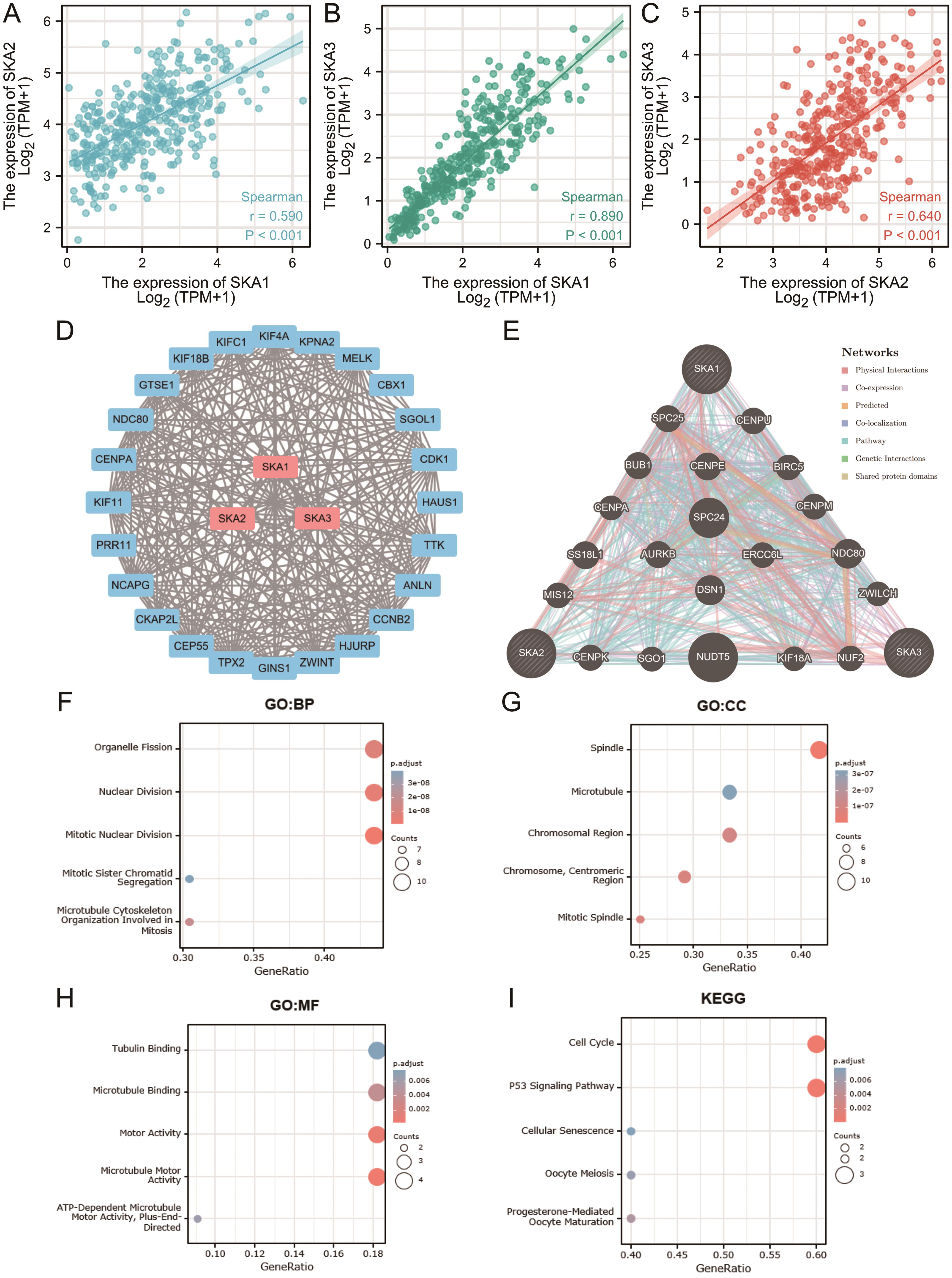 Expression correlations, interaction analyses and enrichment analysis of SKAs in HCC.