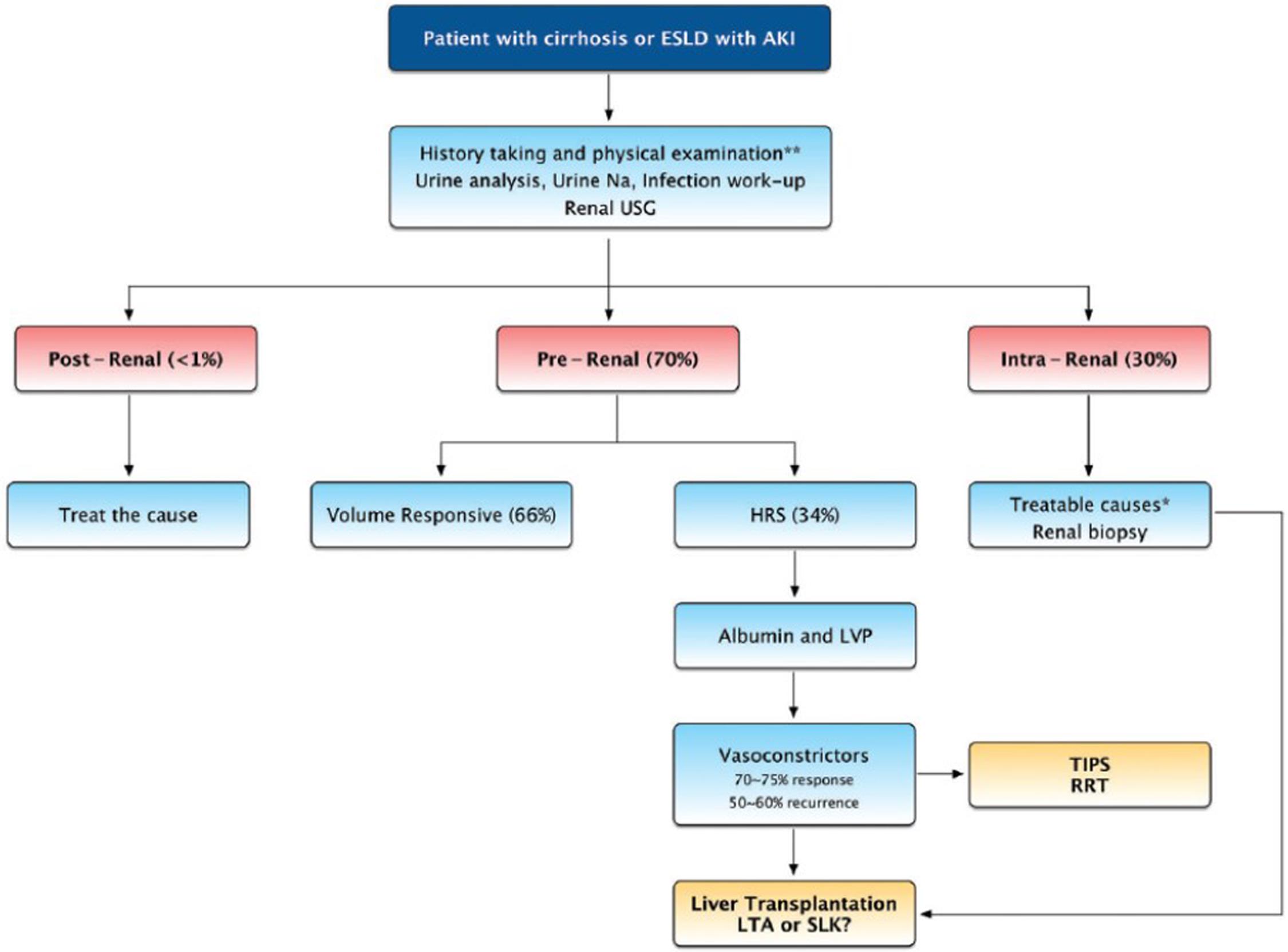 Management approach and algorithm for AKI in patients with cirrhosis.
