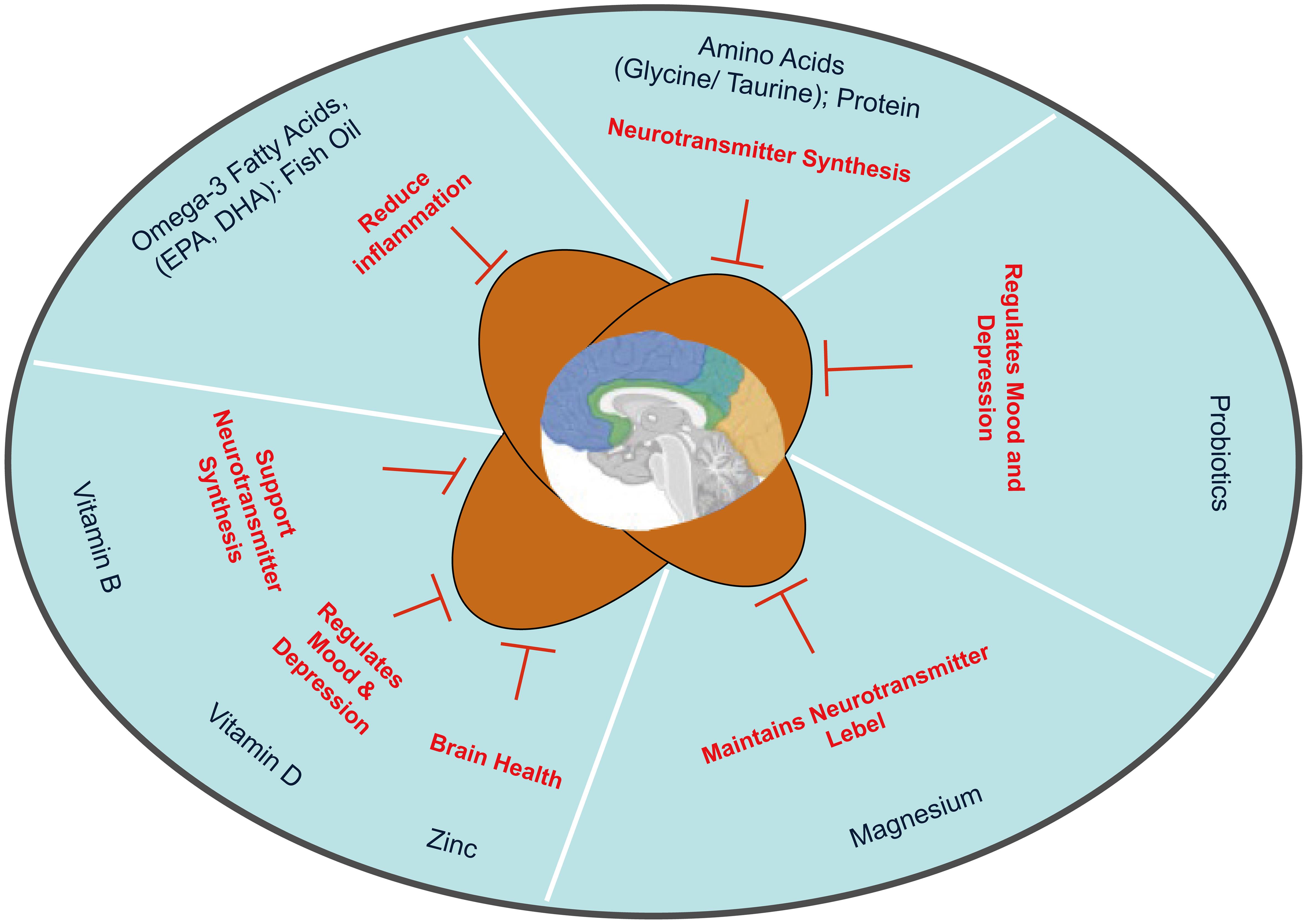 Influence of nutrients on mental disorders. Influence of nutrients on mental disorders.