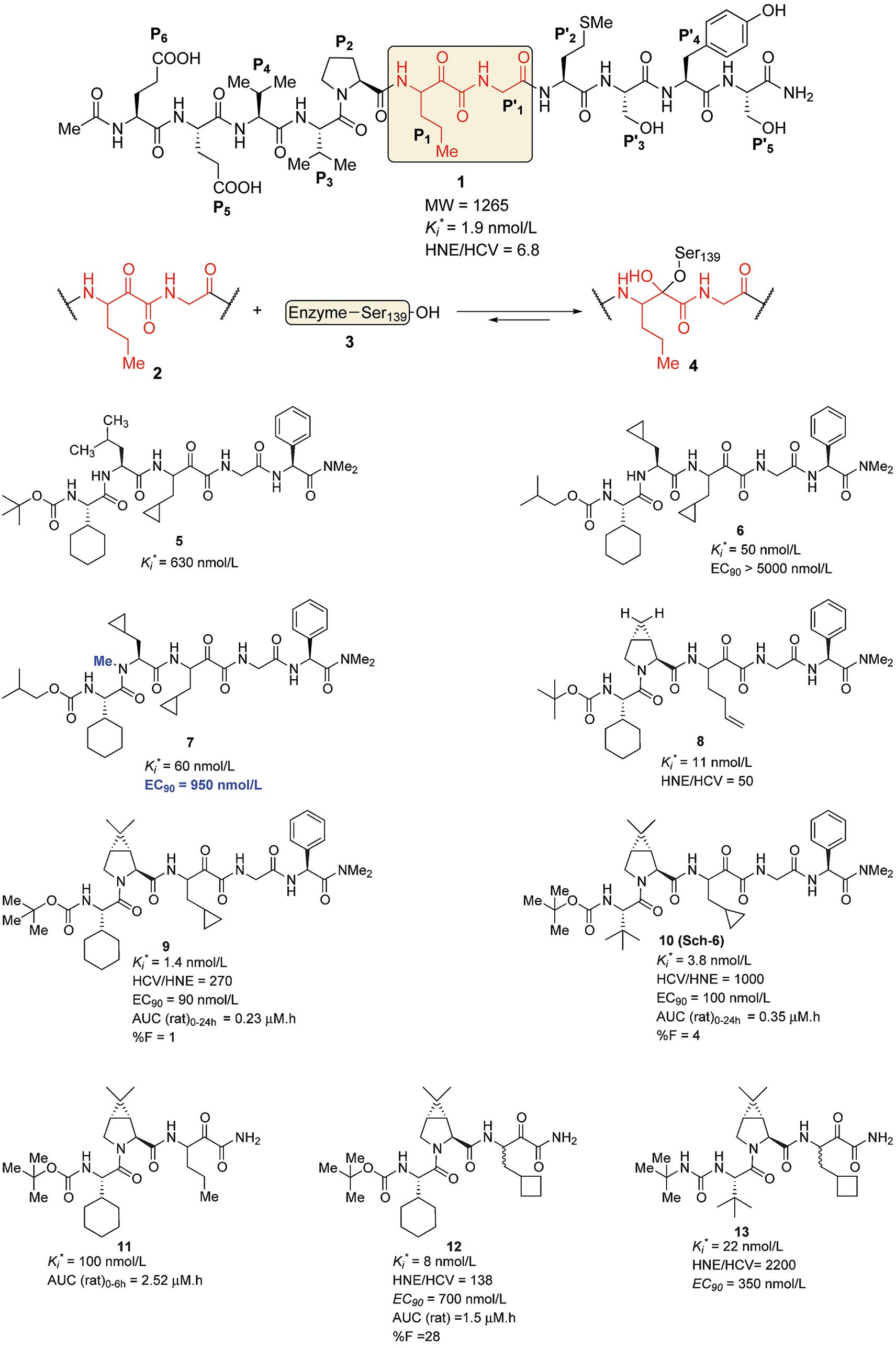 Structure activity synthesis of boceprevir