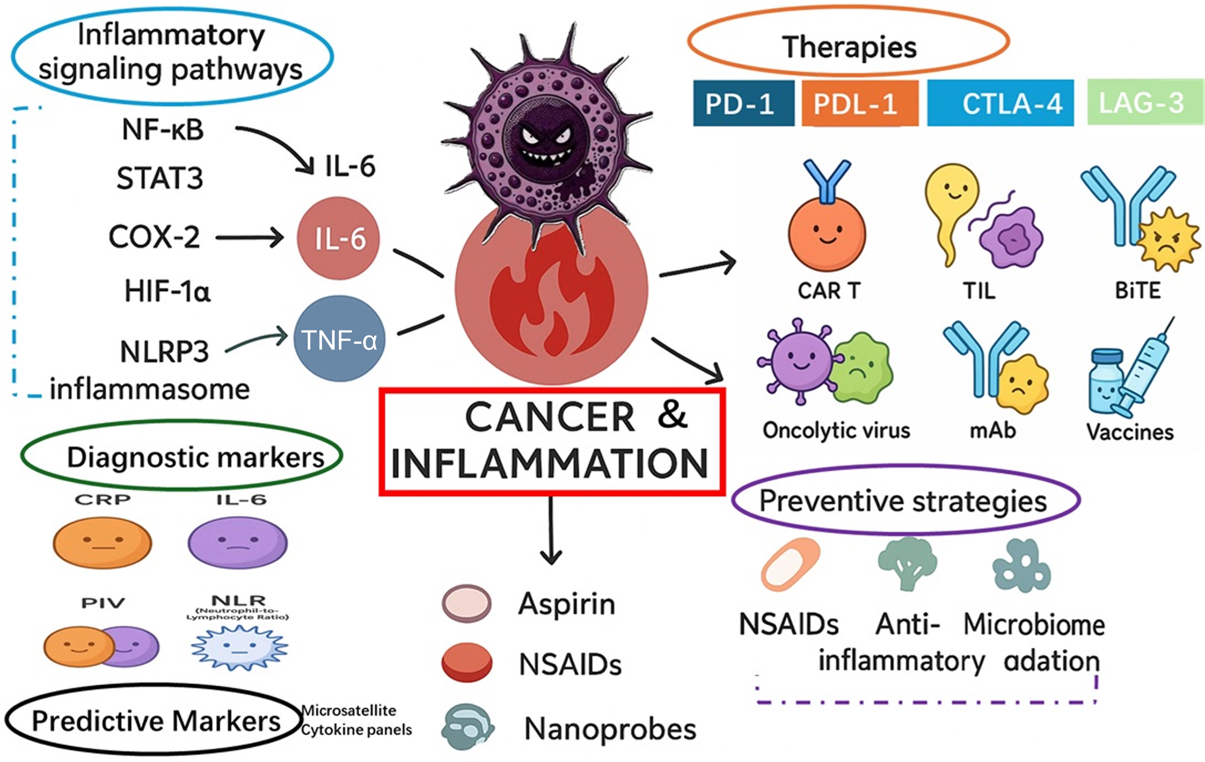 A schematic illustration presenting a comprehensive overview of the intricate bidirectional relationship between cancer and inflammation.