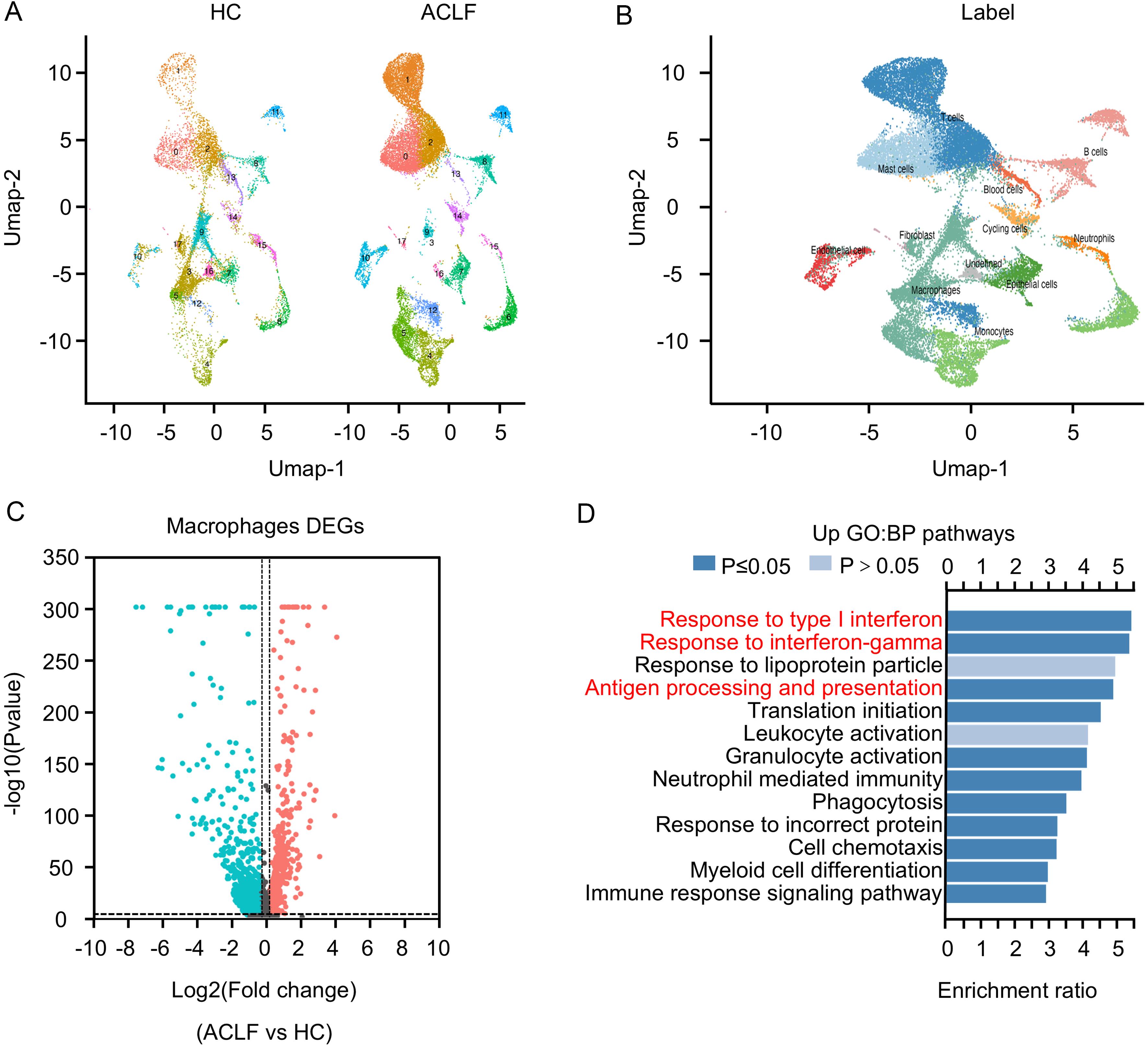 Single-cell transcriptomic profiling of liver macrophages from patients with ACLF and HCs.