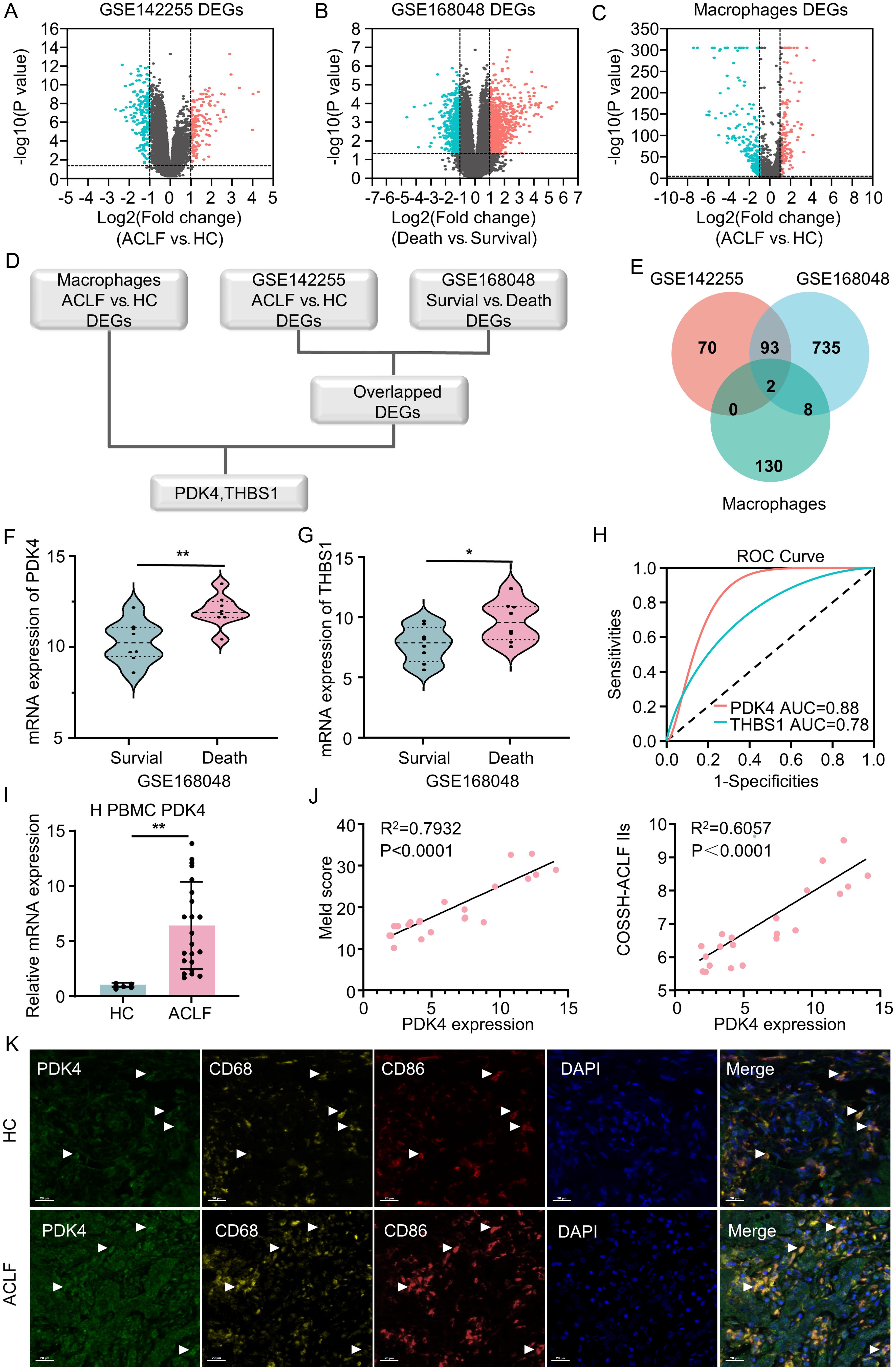 Multi-dataset analysis of gene expression in ACLF.