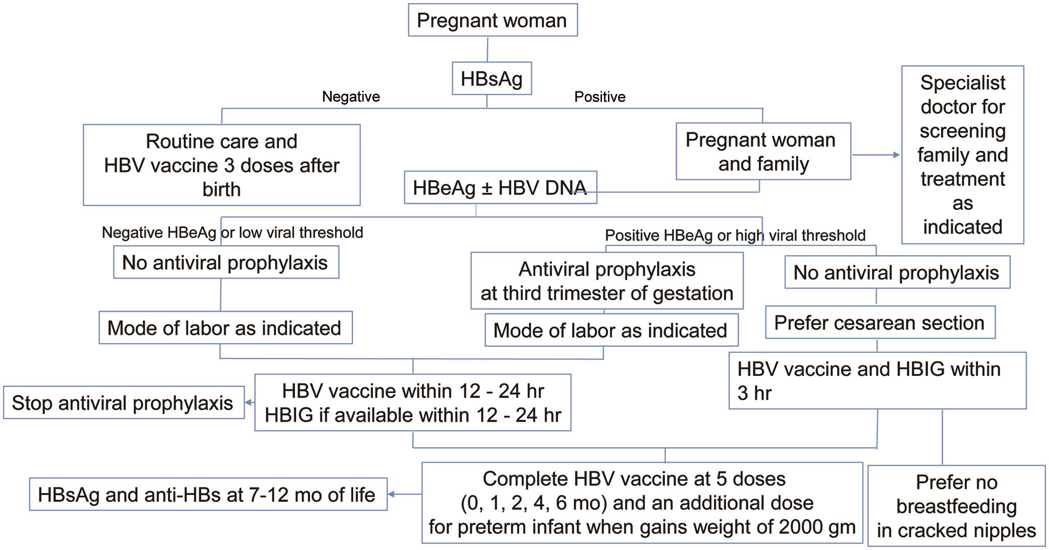 Algorithm for prevention of hepatitis B virus (HBV) infection by mother-to-child transmission (MTCT).
