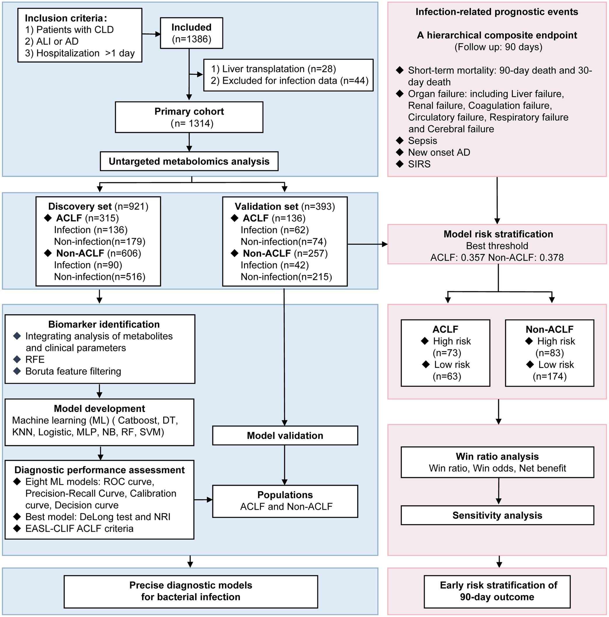 Research flowchart.