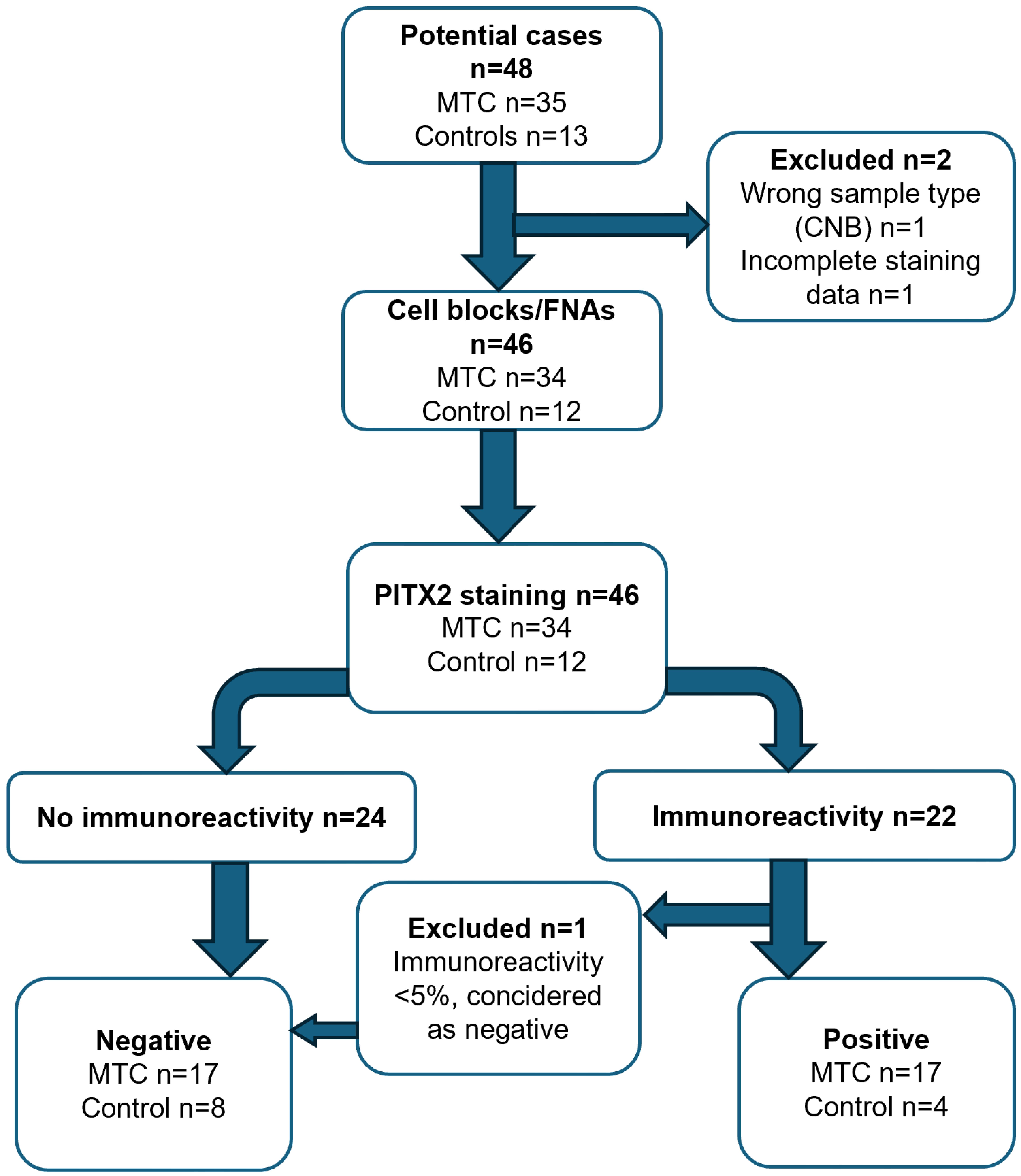 The flowchart shows the cases included and excluded from pituitary homeobox 2 (PITX2) staining and their distribution into PITX2-positive and PITX2-negative cases.