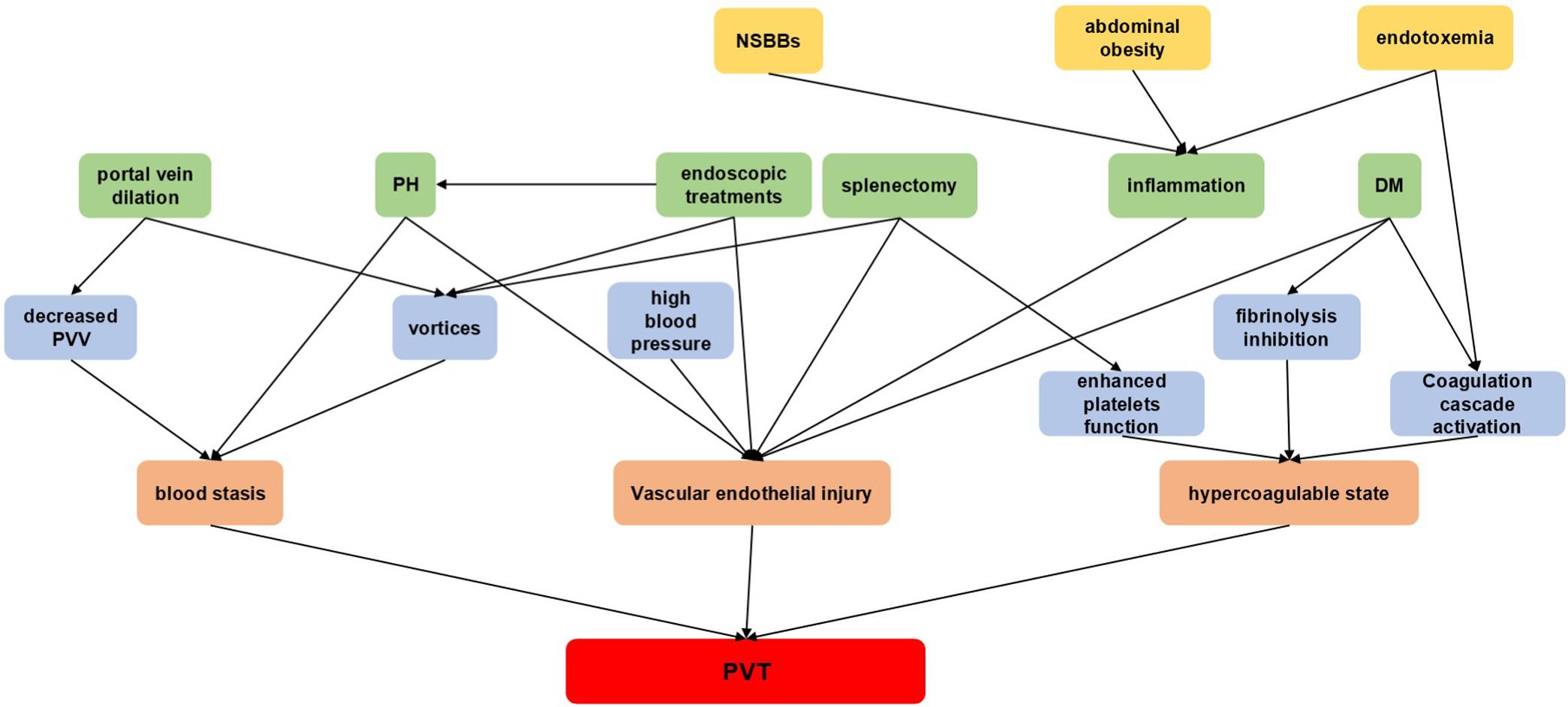 Pathogenic mechanisms and interrelationships of risk factors for PVT-LC.