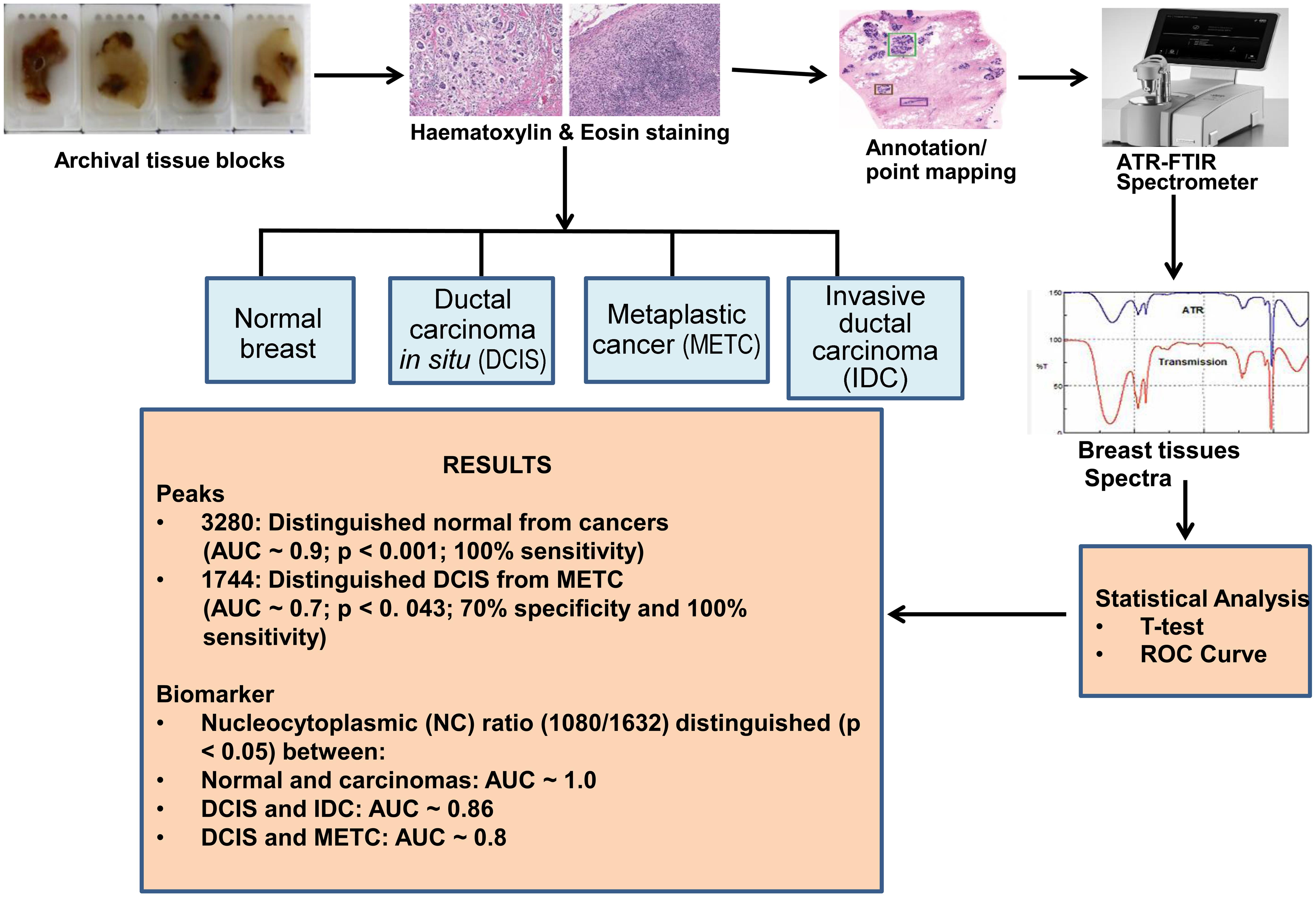 Flowchart of experimental procedure of ATR-FTIR spectroscopy of normal breast tissue, ductal and metaplastic carcinomas.
