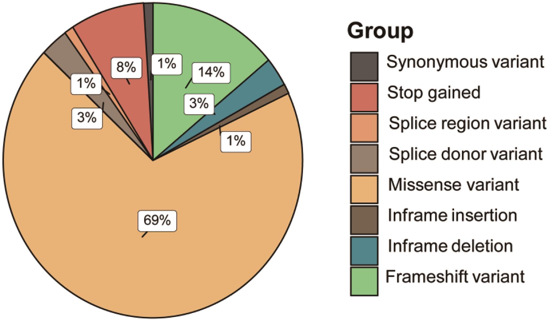 SNV type proportion of the 28 ICC cases detected by targeted DNA sequencing.