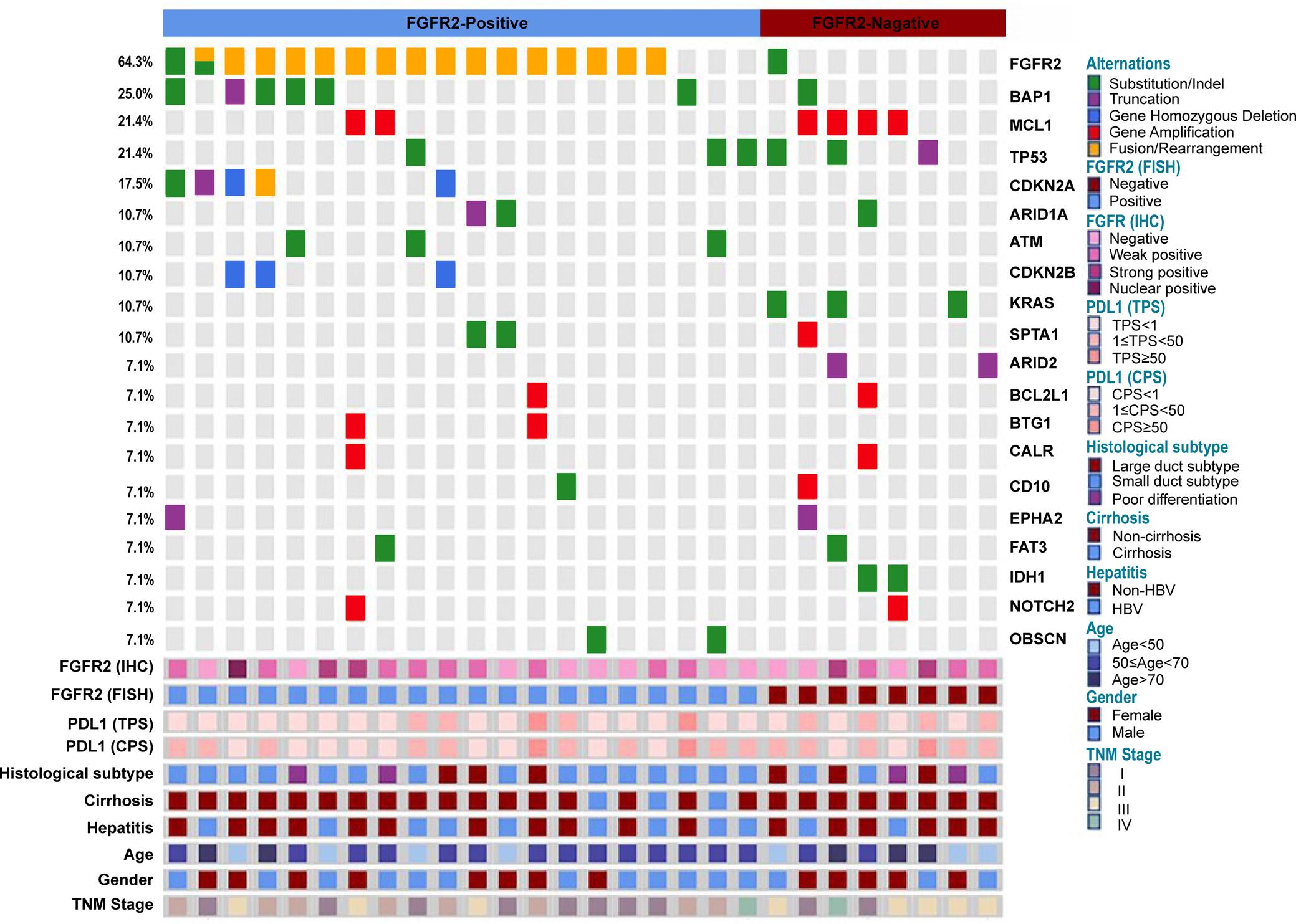 Genomic profiling of the 28 ICCs detected by NGS and their clinicopathological characteristics.