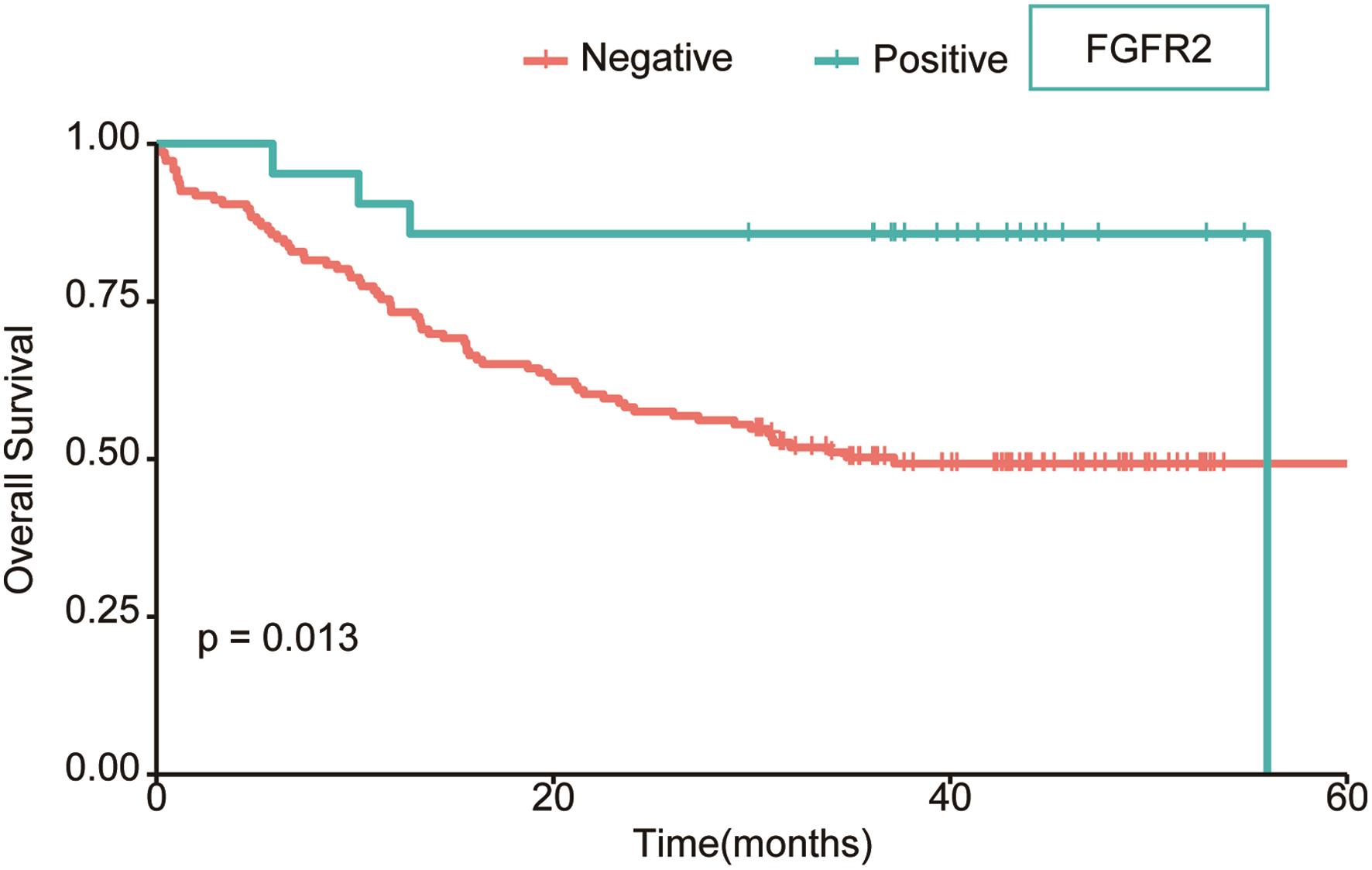 Survival analysis of FISH-positive ICCs.