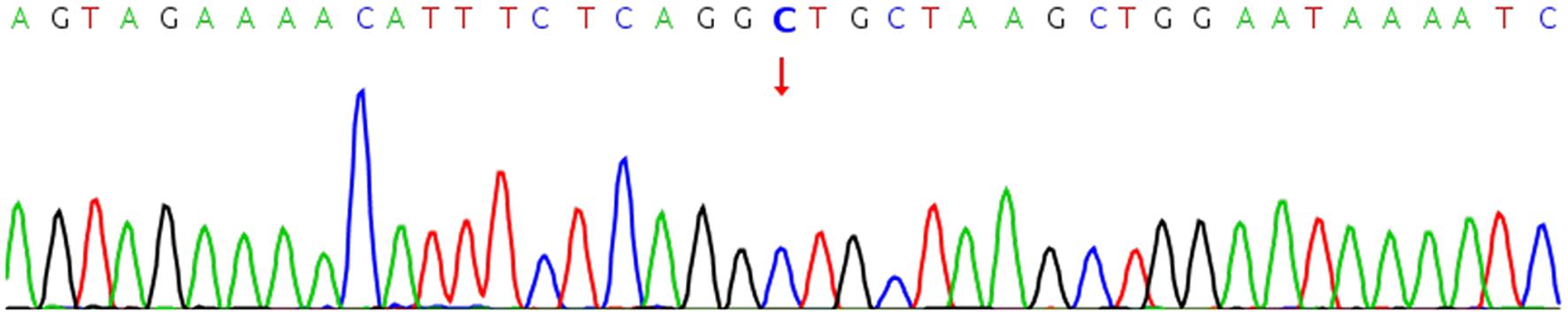 First-generation sequencing peak map.