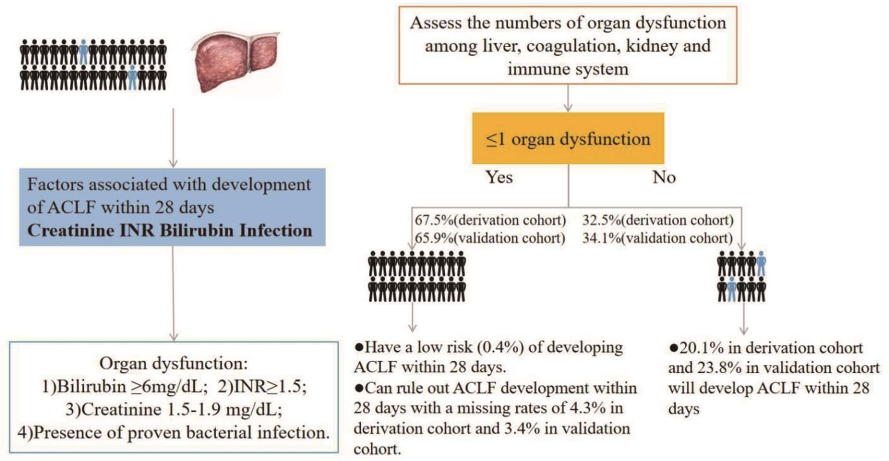 New Algorithm Rules Out Acuteonchronic Liver Failure Development