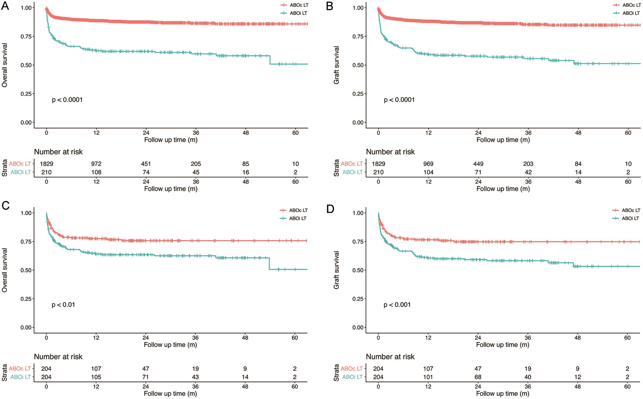 Comparison of the overall survival and graft survival rates in ABOi and ABOc LT recipients.