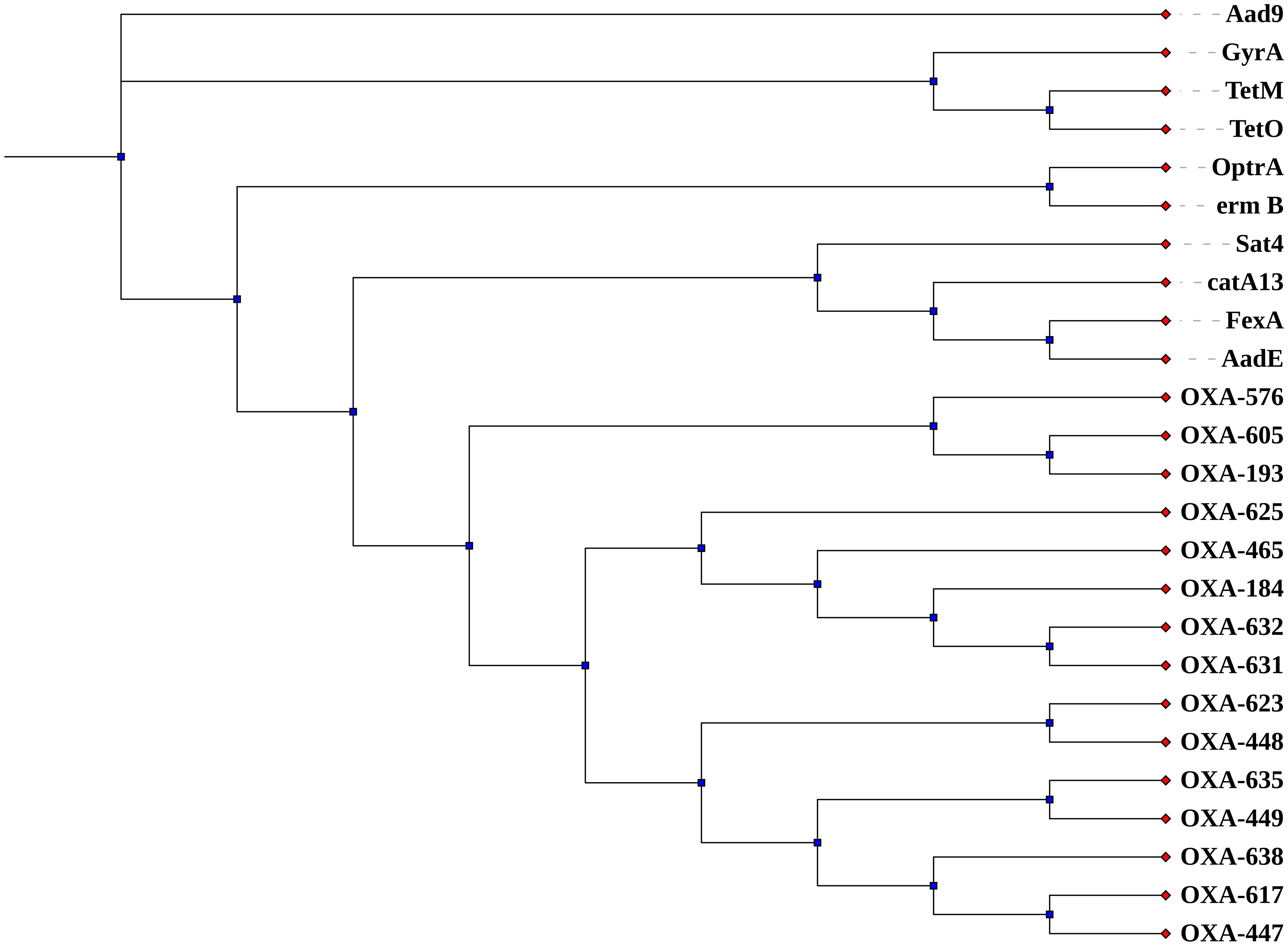Schematic depiction of the rooted phylogenetic tree for the 25 genomic sequences for <italic>C. jejuni</italic> strains using the MAFFT (Multiple Alignment using Fast Fourier Transform).