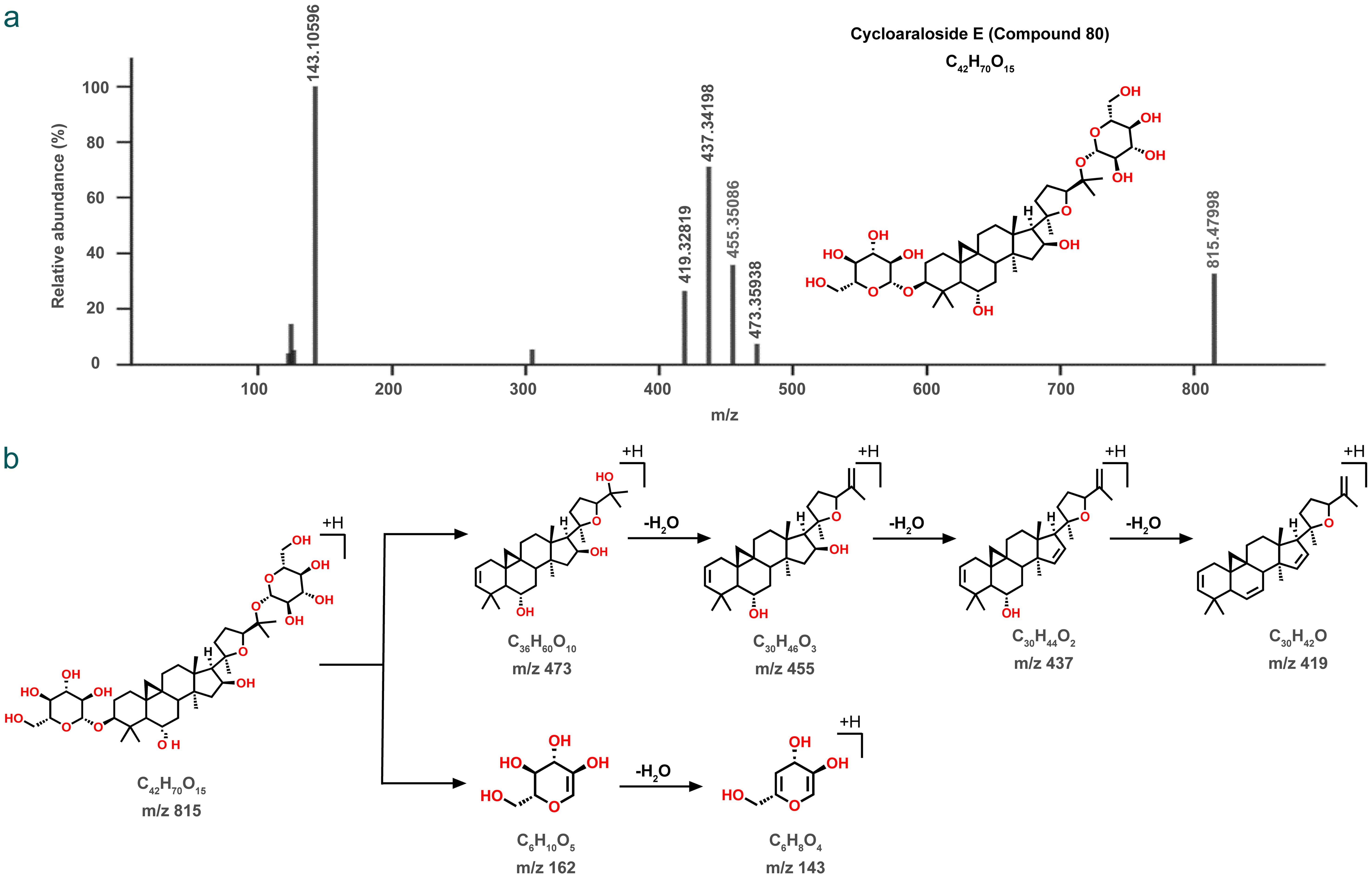 Fragmentation pattern of Cycloaraloside E (Compound 80).