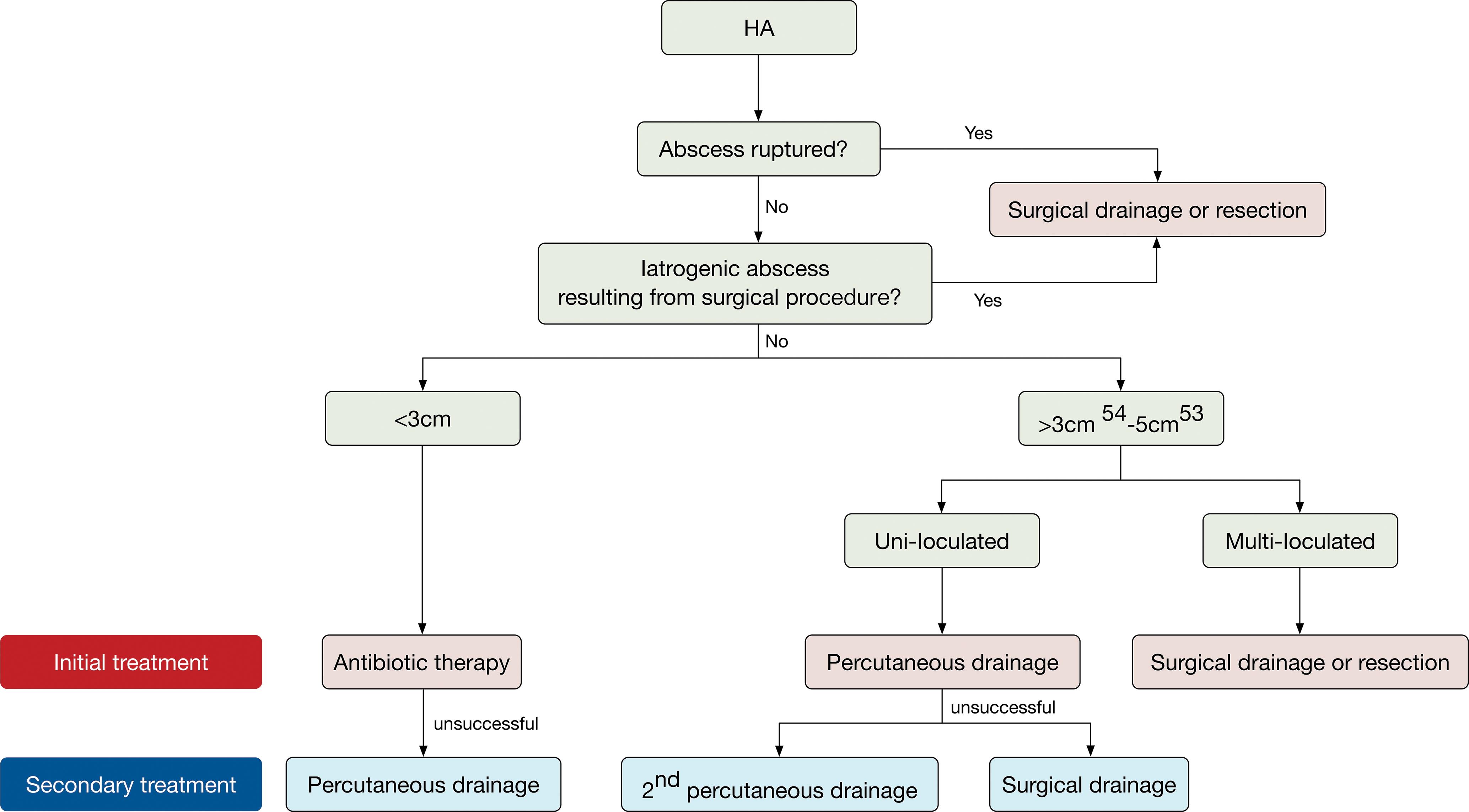 Treatment strategies of HA*.