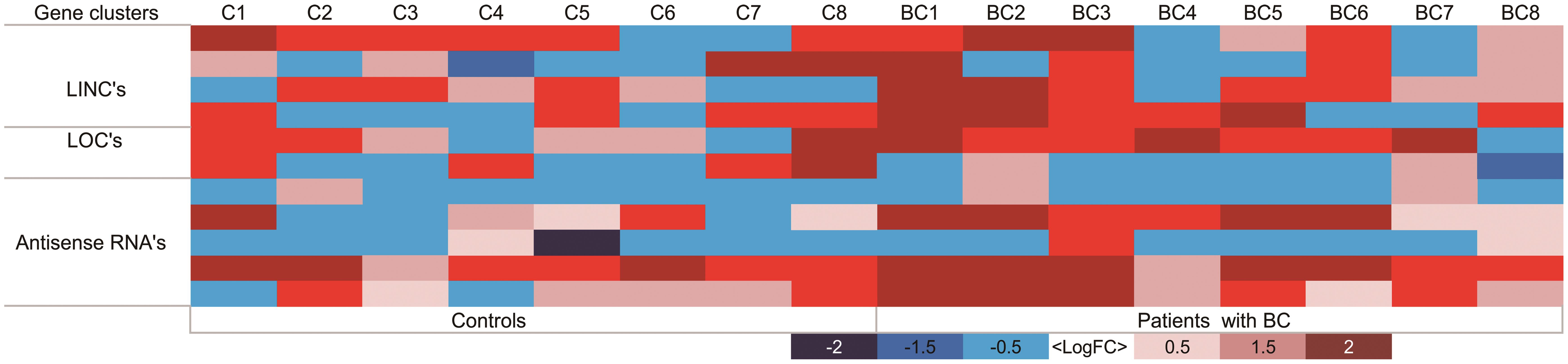 Heatmap of differentially expressed lncRNA gene clusters.