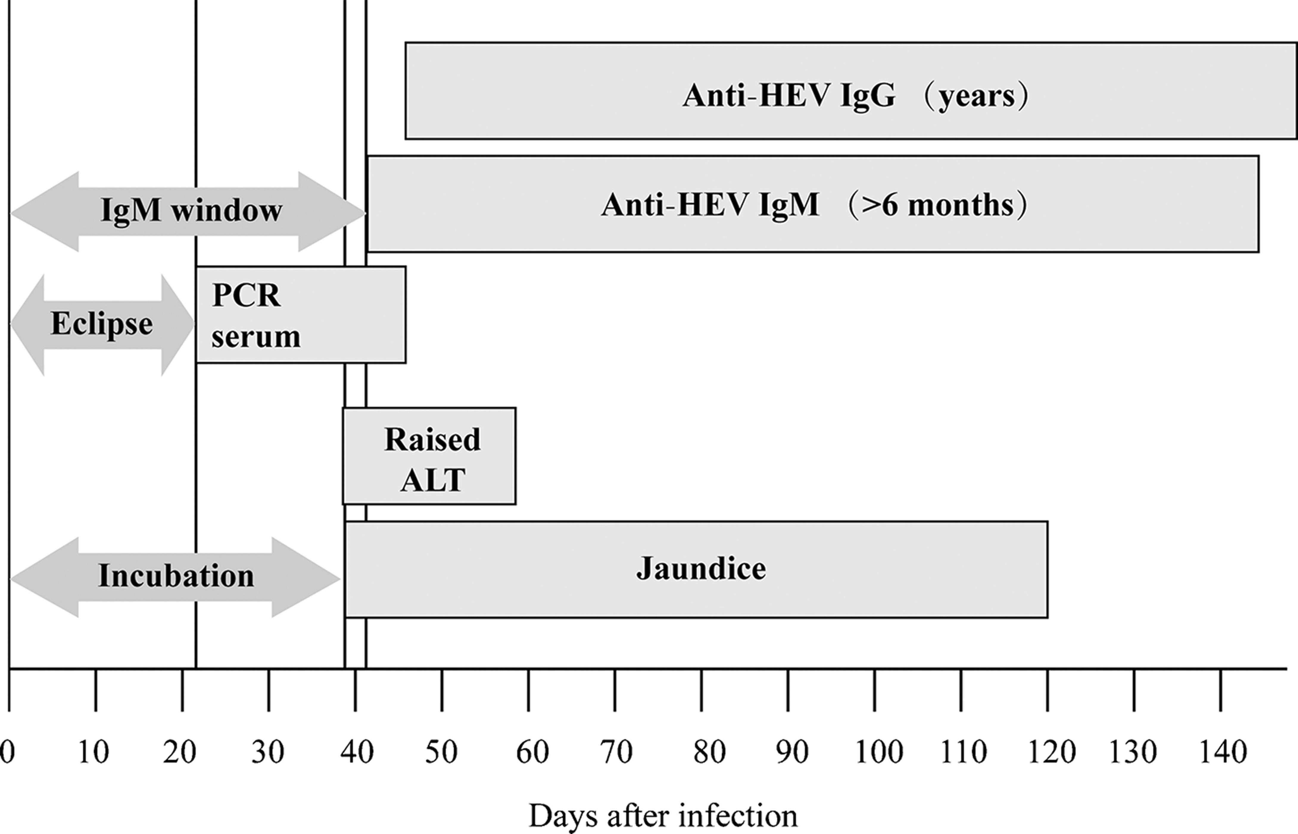 Evolution of viral diagnostic markers in serum during acute hepatitis E