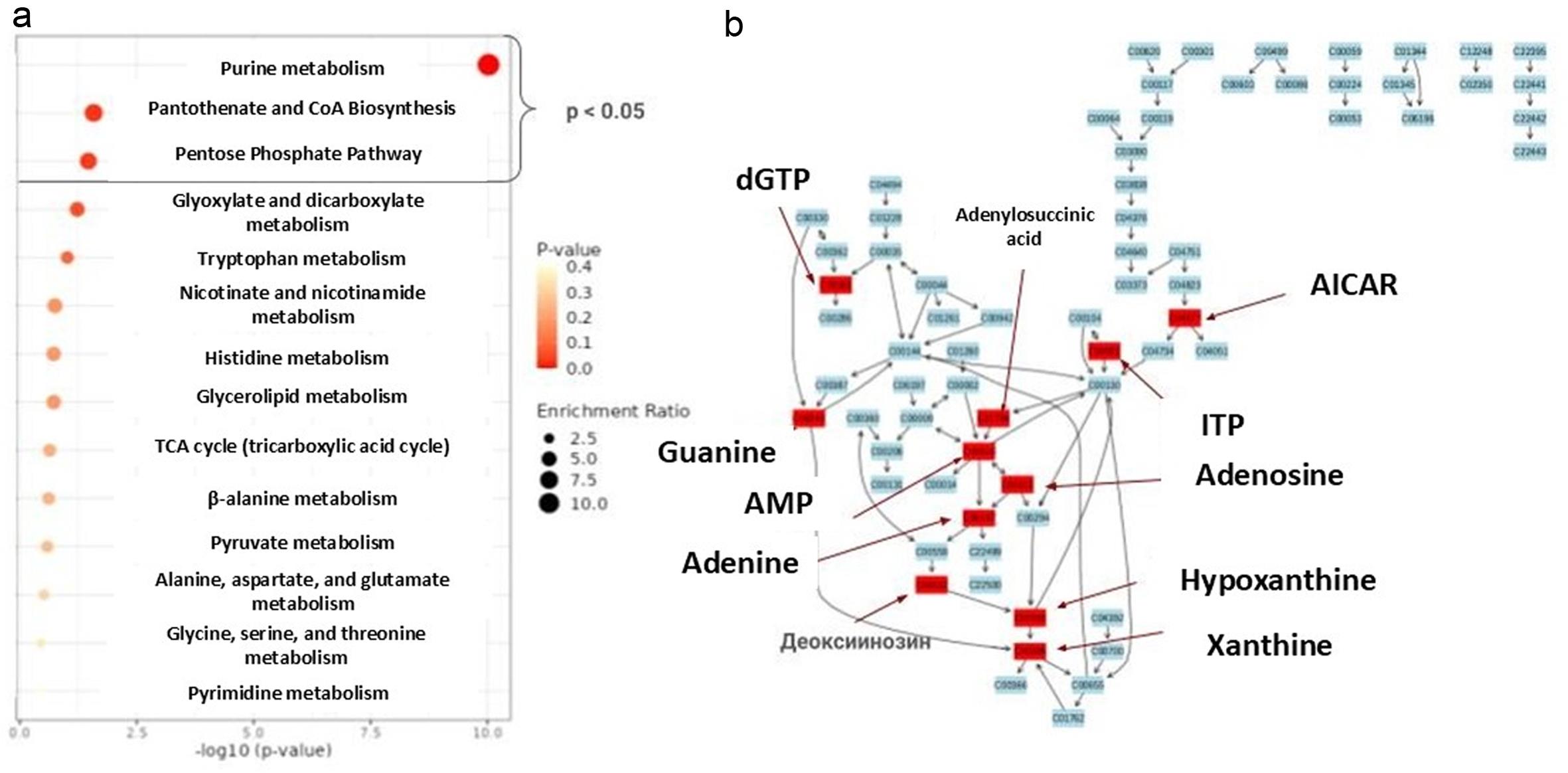 THz-induced alterations in metabolic pathways.