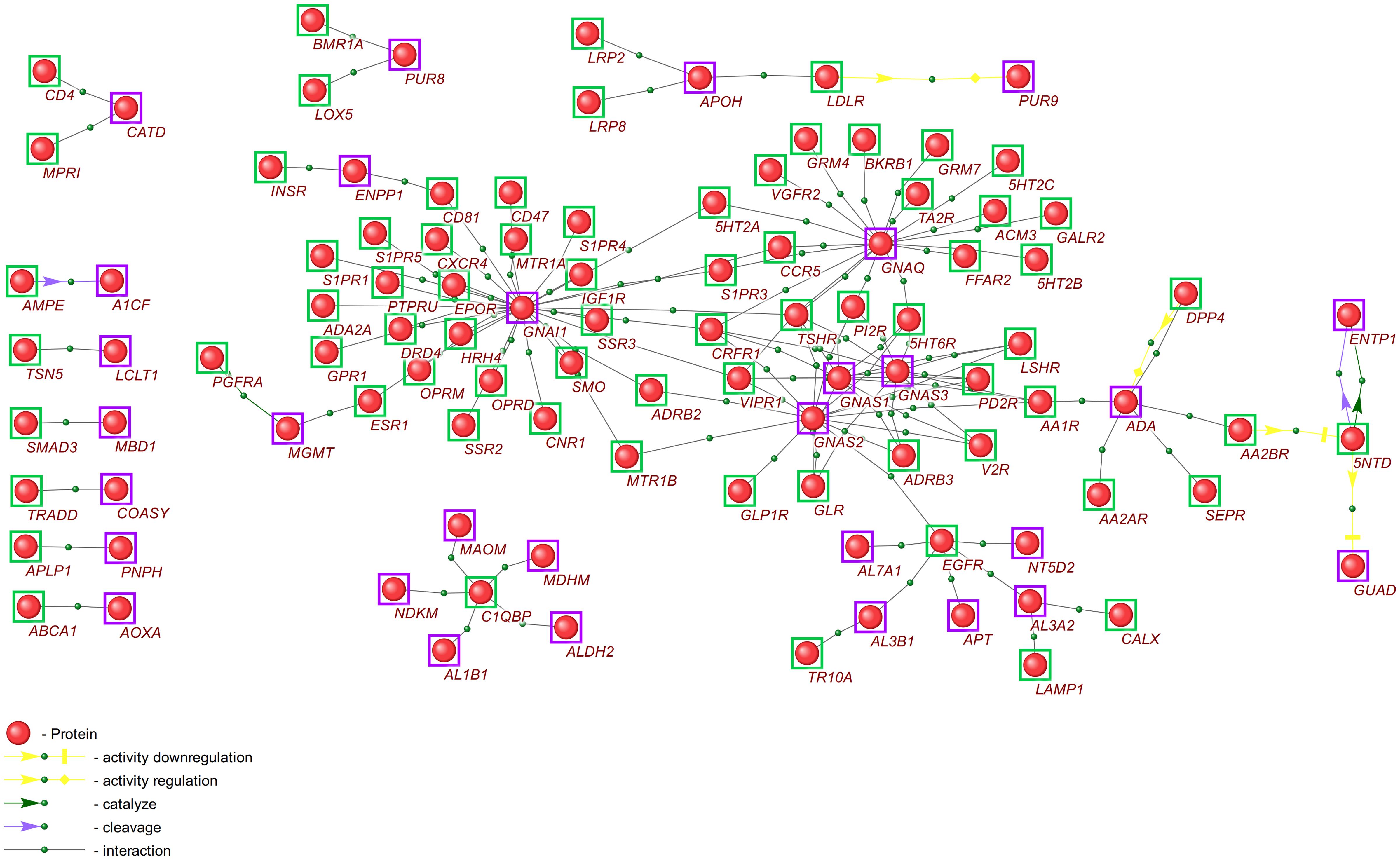 Gene network of enzyme function regulation by cellular receptors.