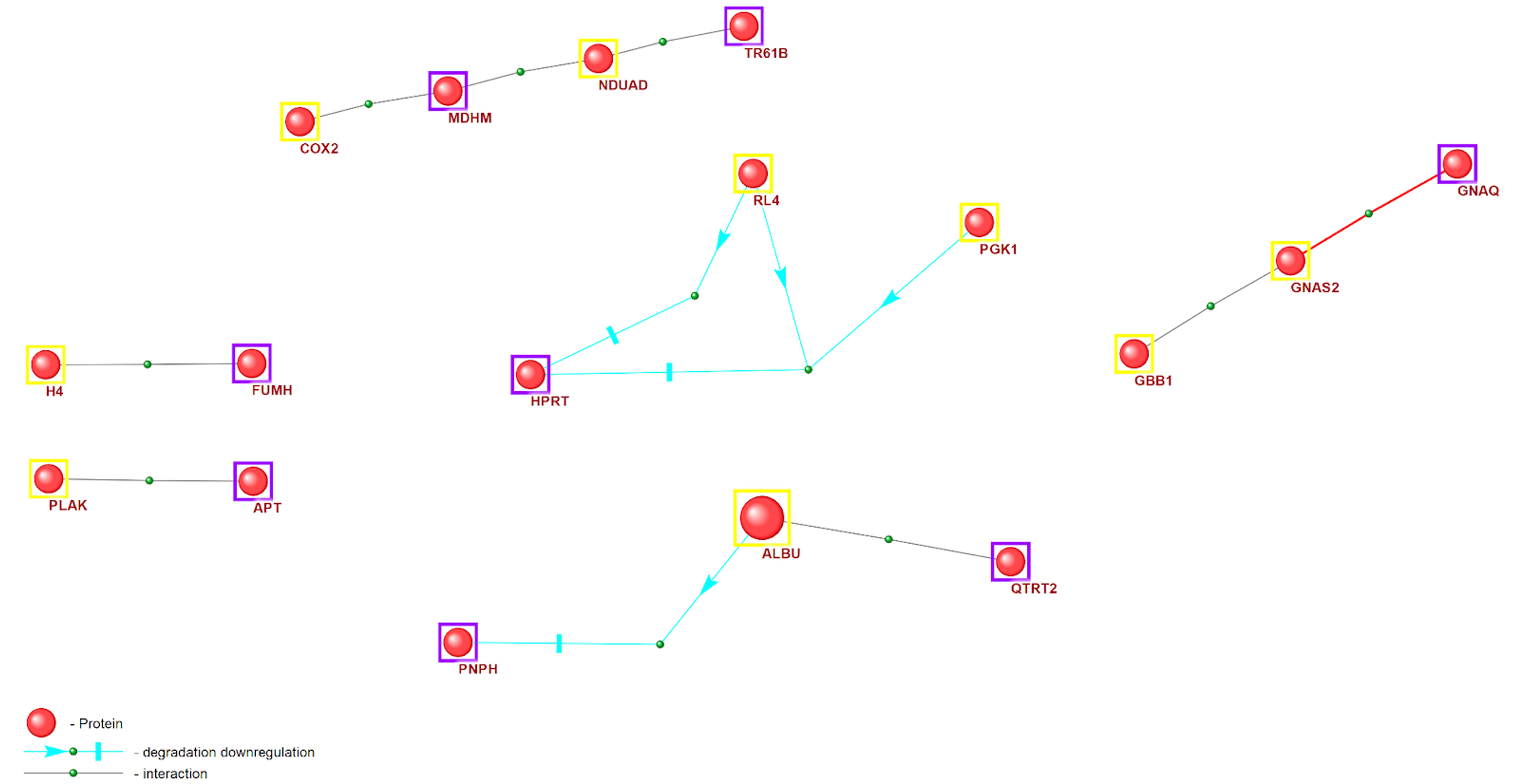 Gene network of enzyme function regulation by lipid raft proteins.
