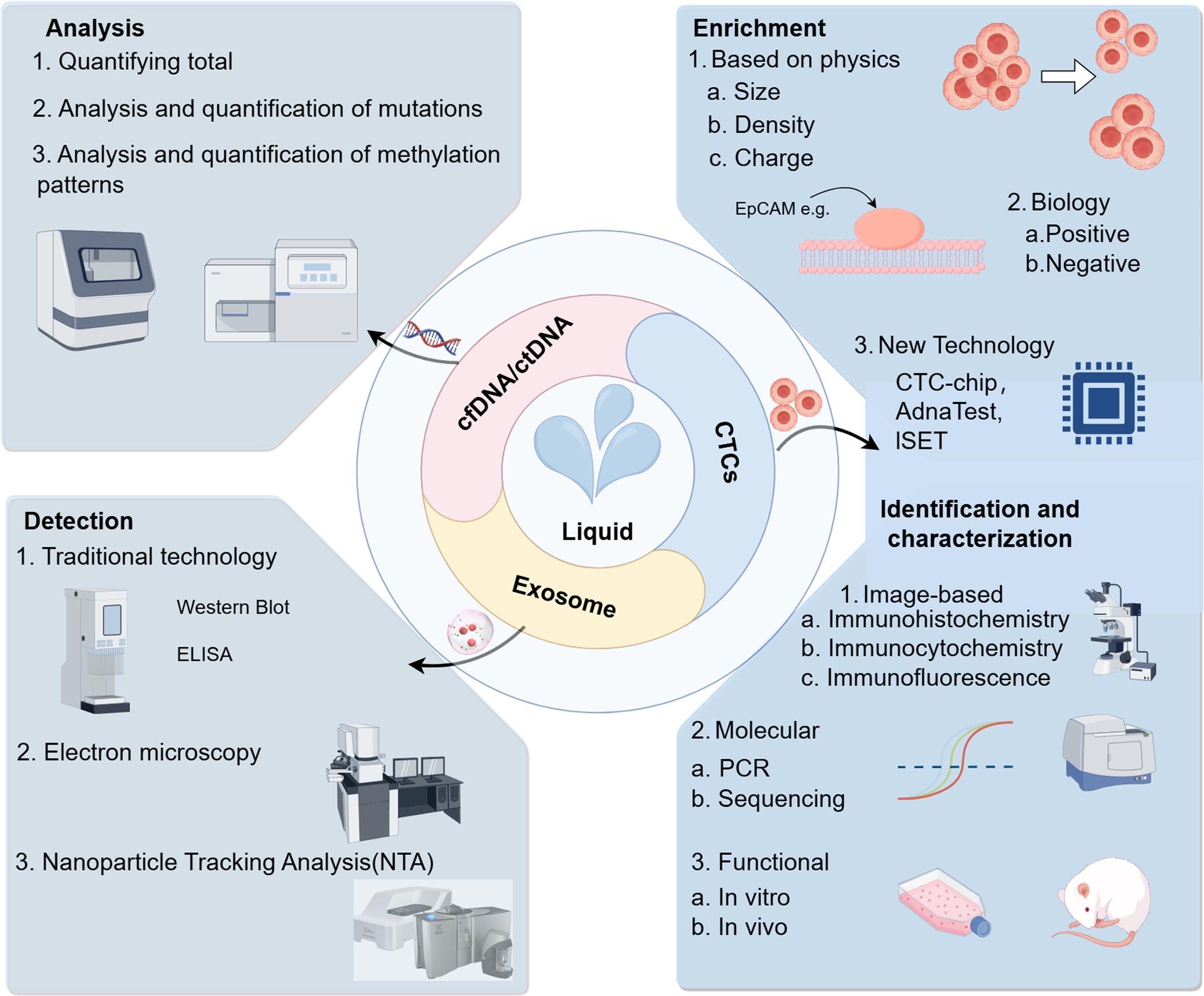 Overview of liquid biopsy techniques and applications.