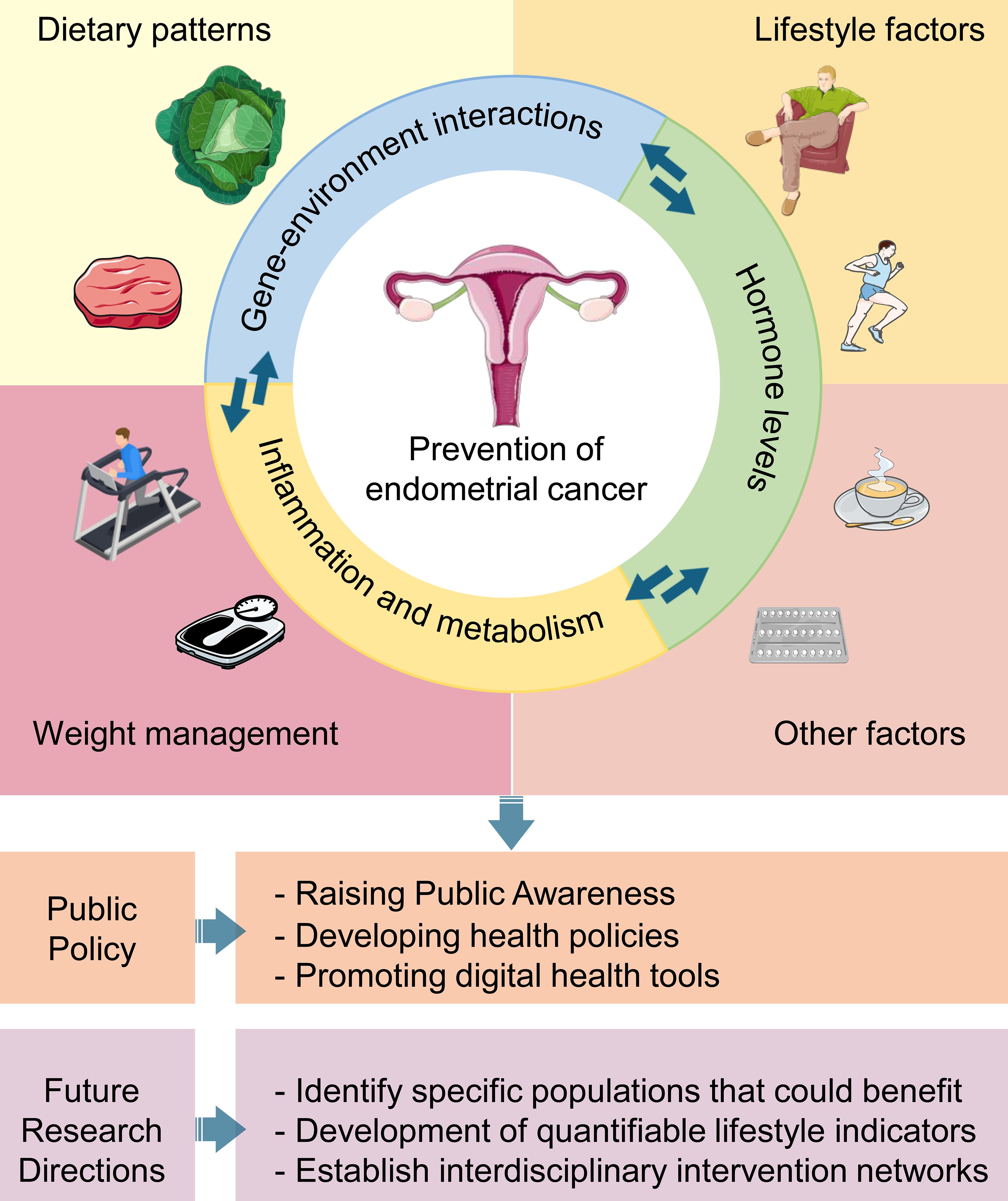 Risk factors and multidimensional prevention framework map.