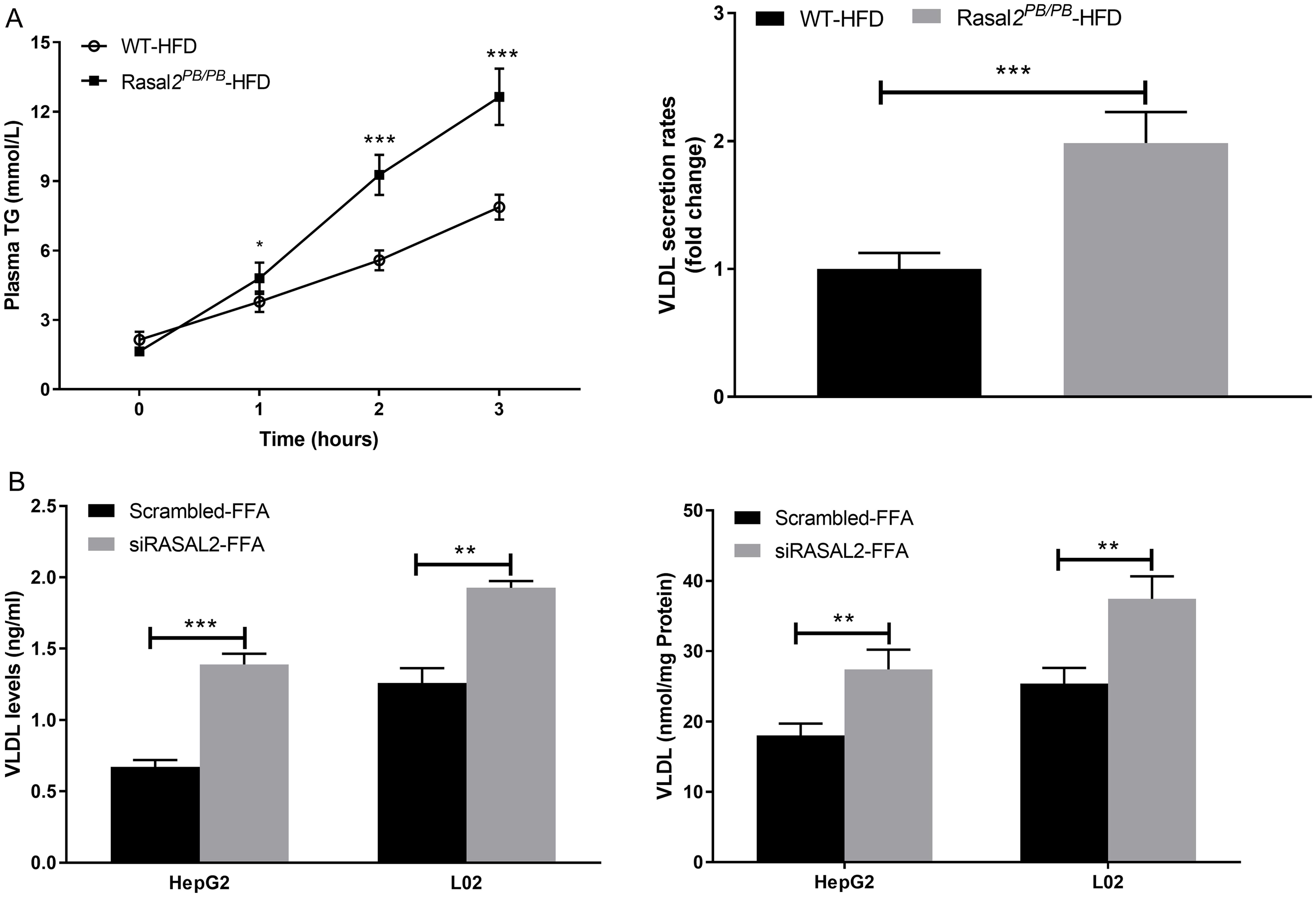 Effects of RAS protein activator like 2 (RASAL2) on hepatic very low-density lipoprotein (VLDL) production and secretion <italic>in vivo</italic> and <italic>in vitro</italic>.