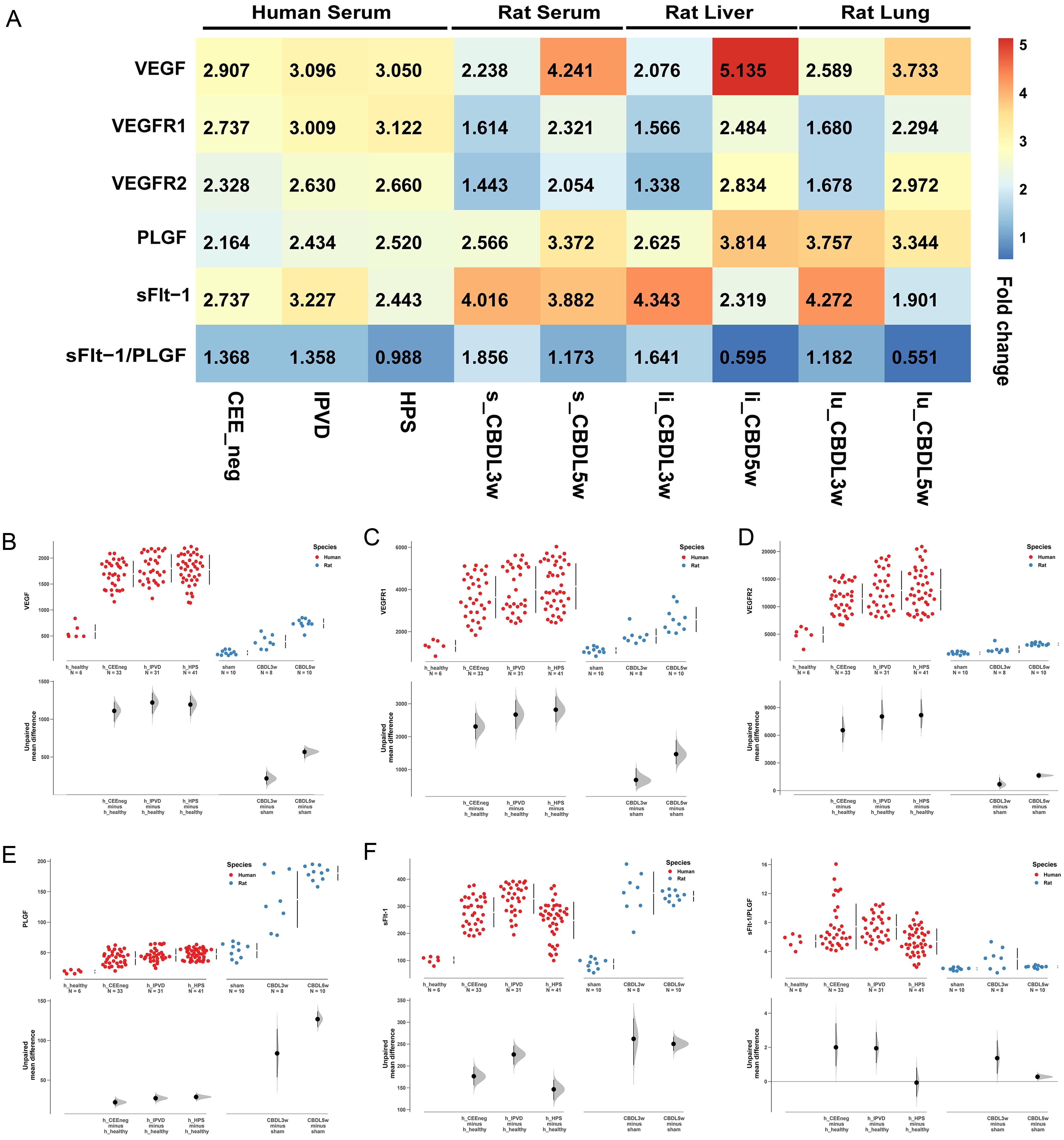 Inconsistent changes in the levels of VEGF family members and their receptors between patients and experimental rats.