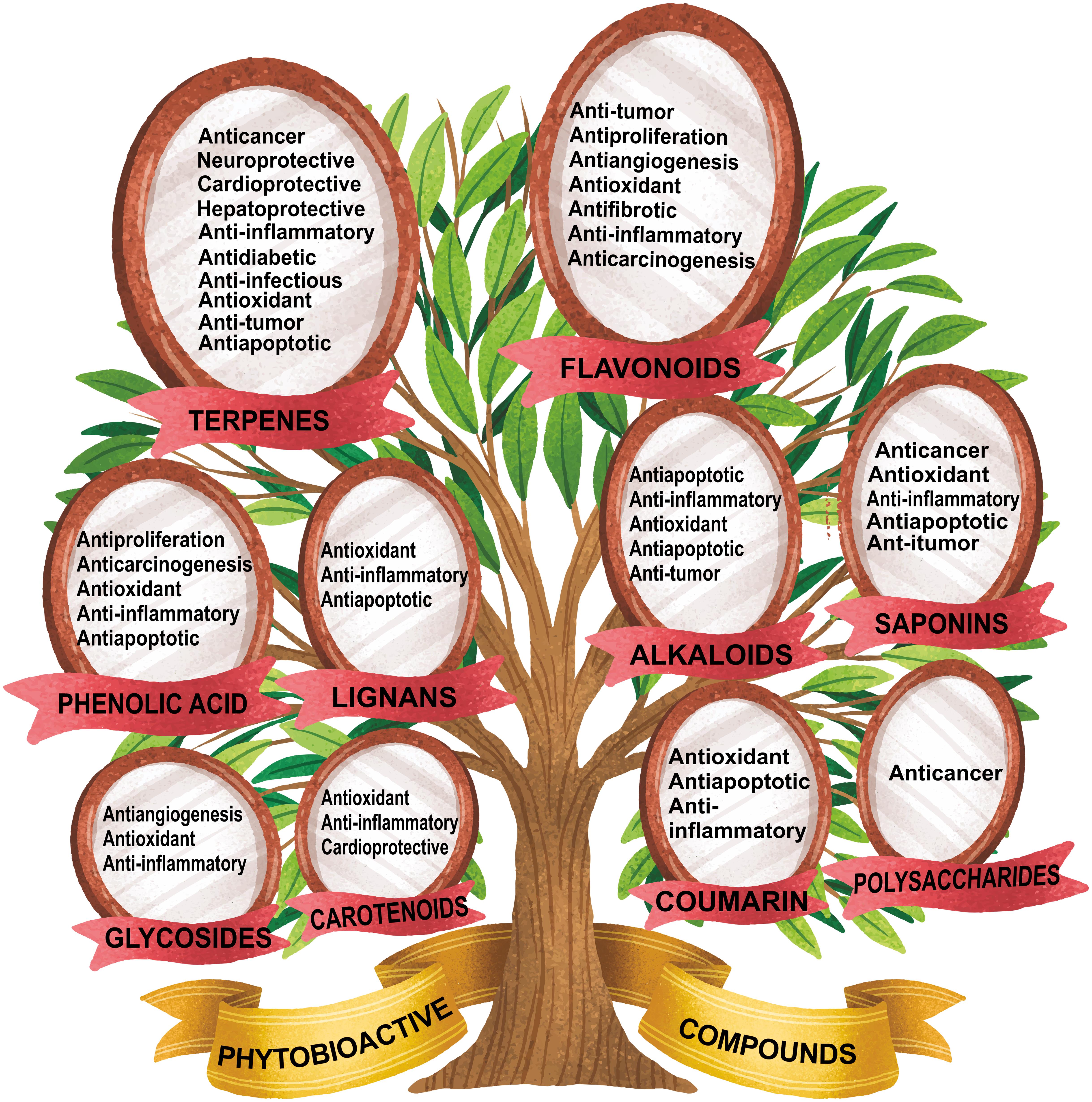 Overview of the therapeutic potential of bioactive compounds.