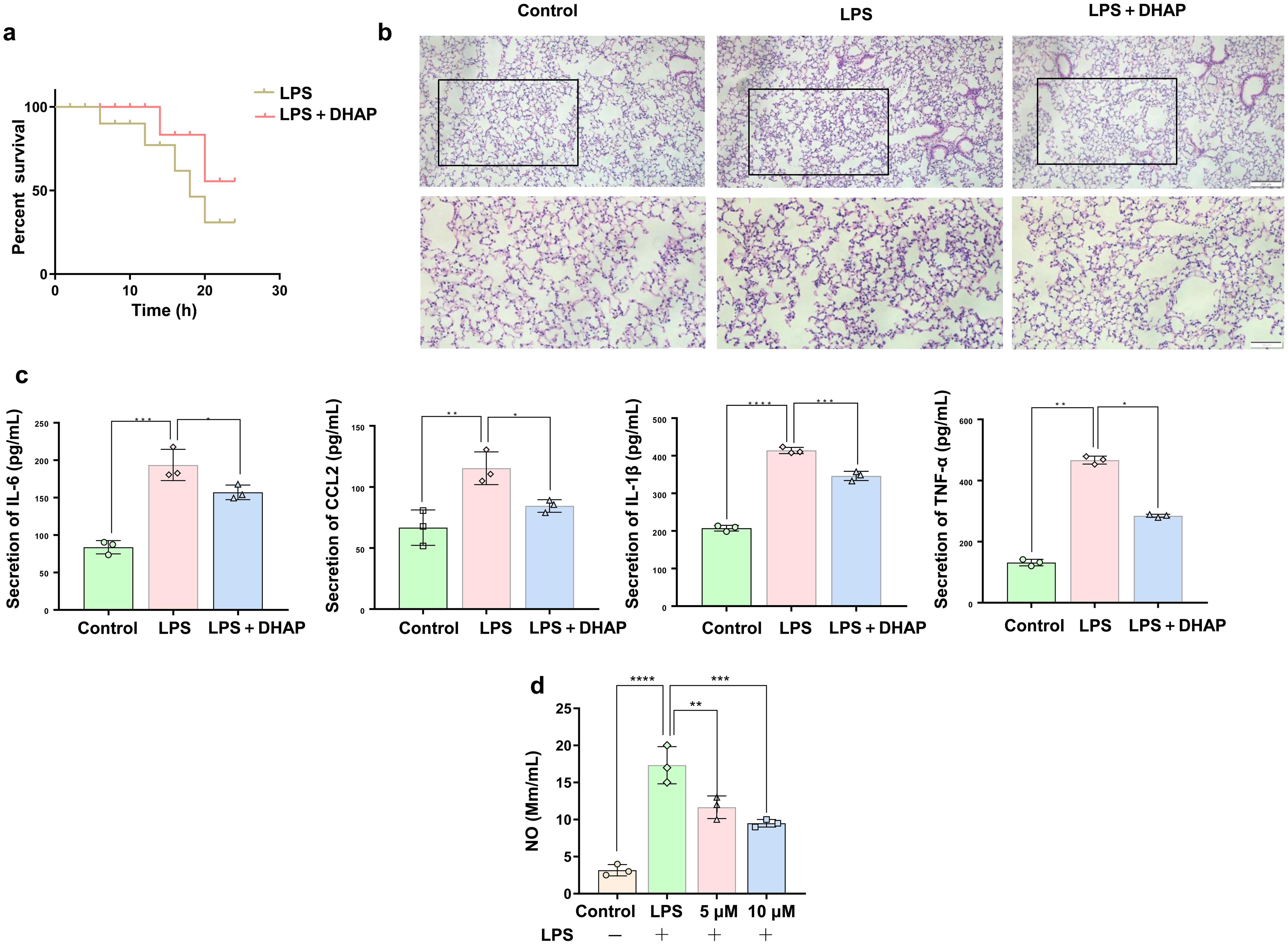 DHAP had anti-inflammatory activity in mice.