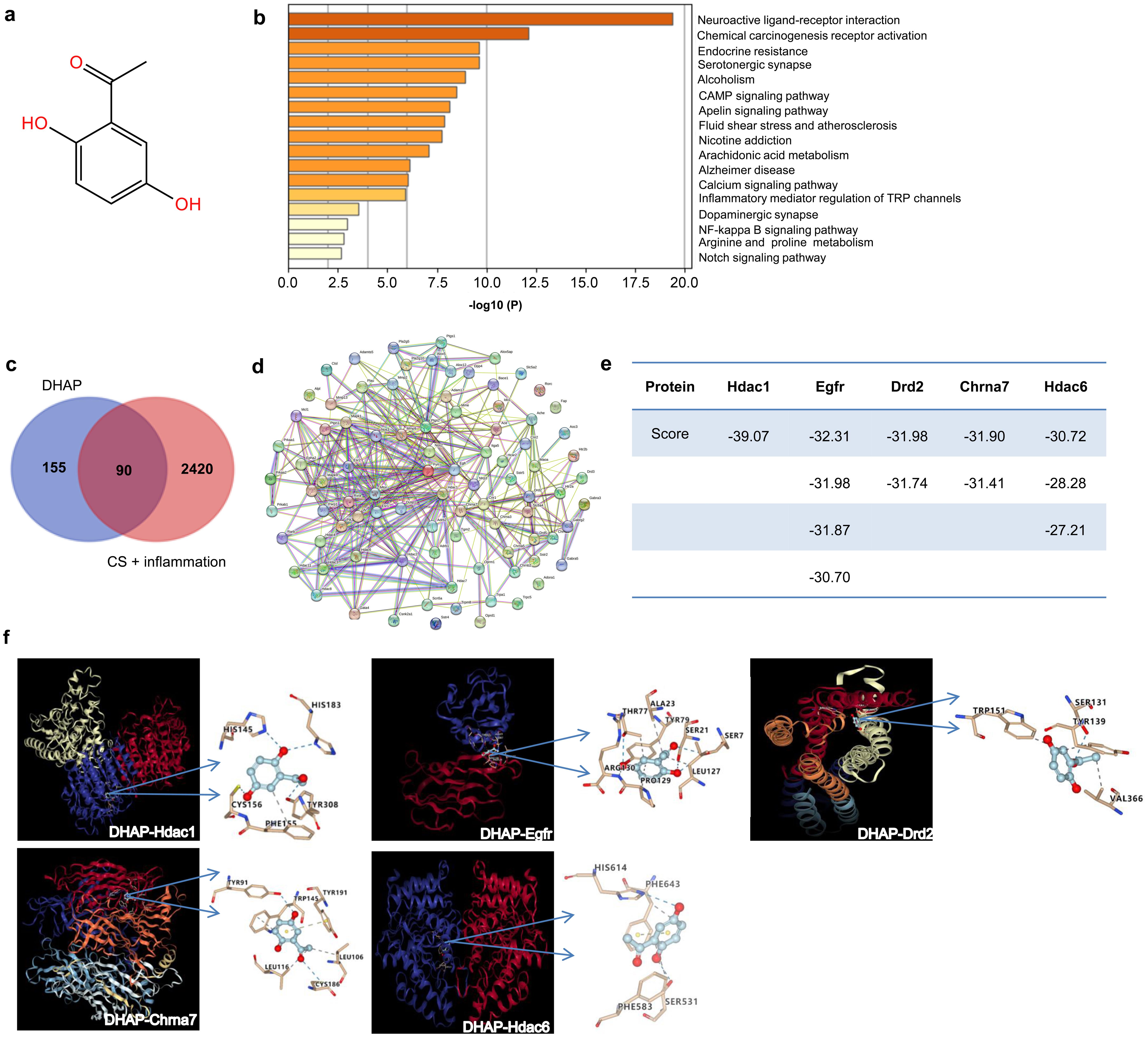 DHAP interacted with Hdac1.