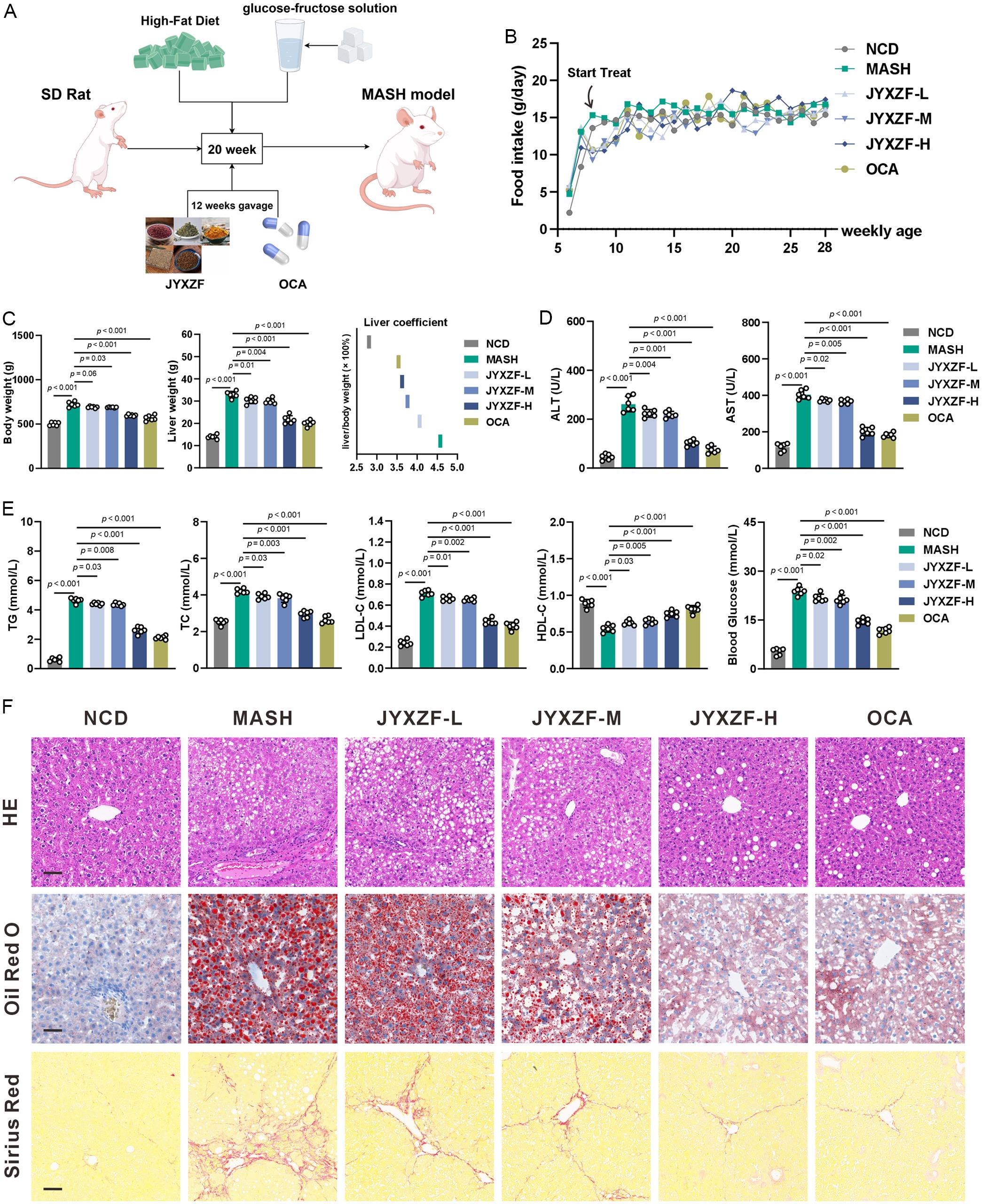 Metabolic, biochemical, and histological measurements in the MASH rat model.