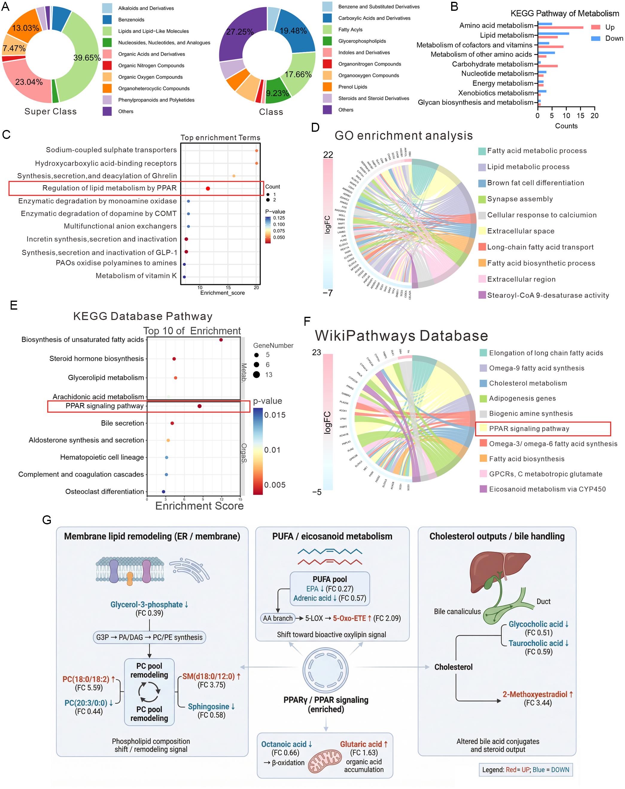 Metabolomics and transcriptomics profiling of the liver from the MASH group and the JYXZF-treated group.