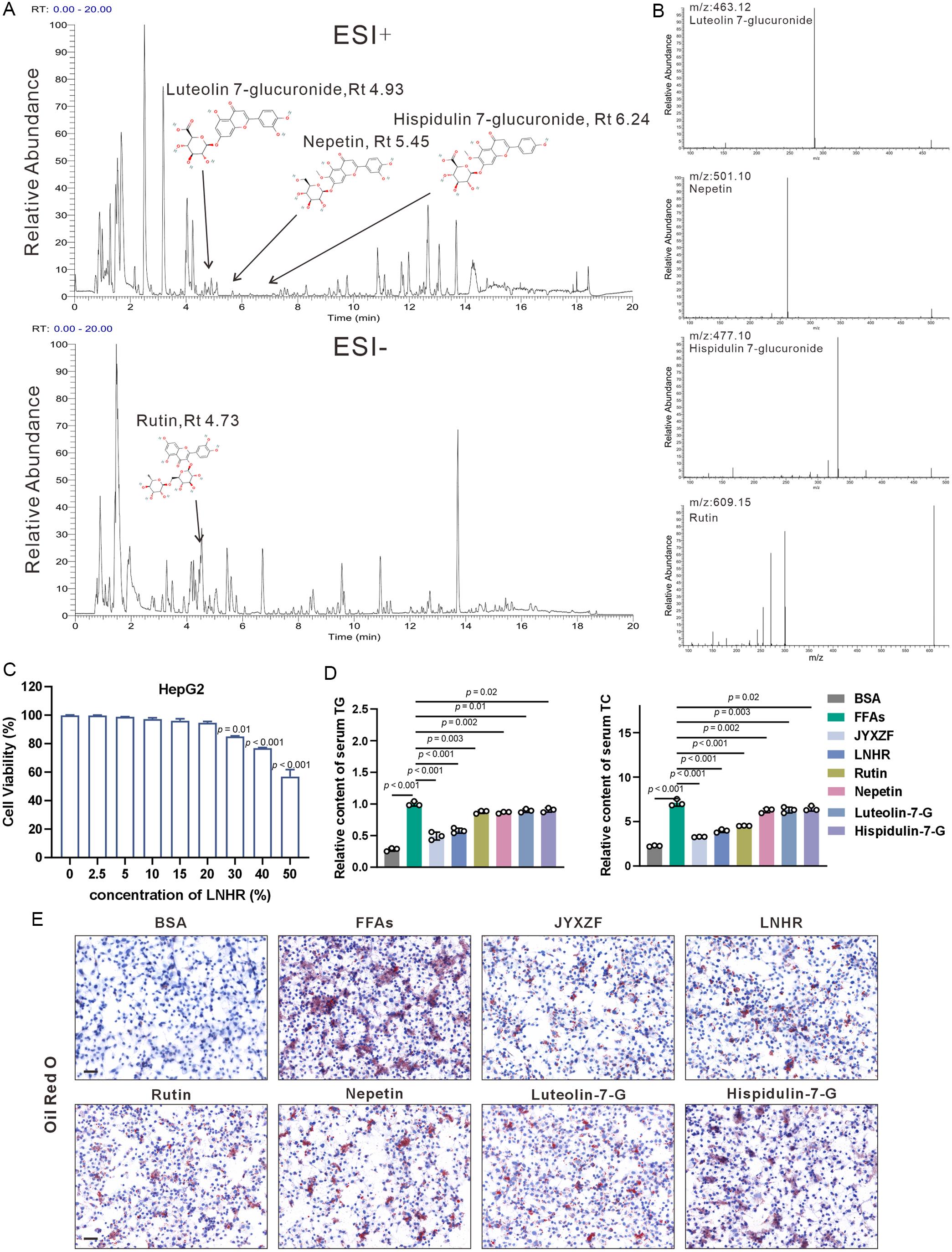 UPLC-MS/MS identification of circulating JYXZF constituents and <italic>in vitro</italic> measurements after treatment with key compounds in FFA-induced HepG2 cells.