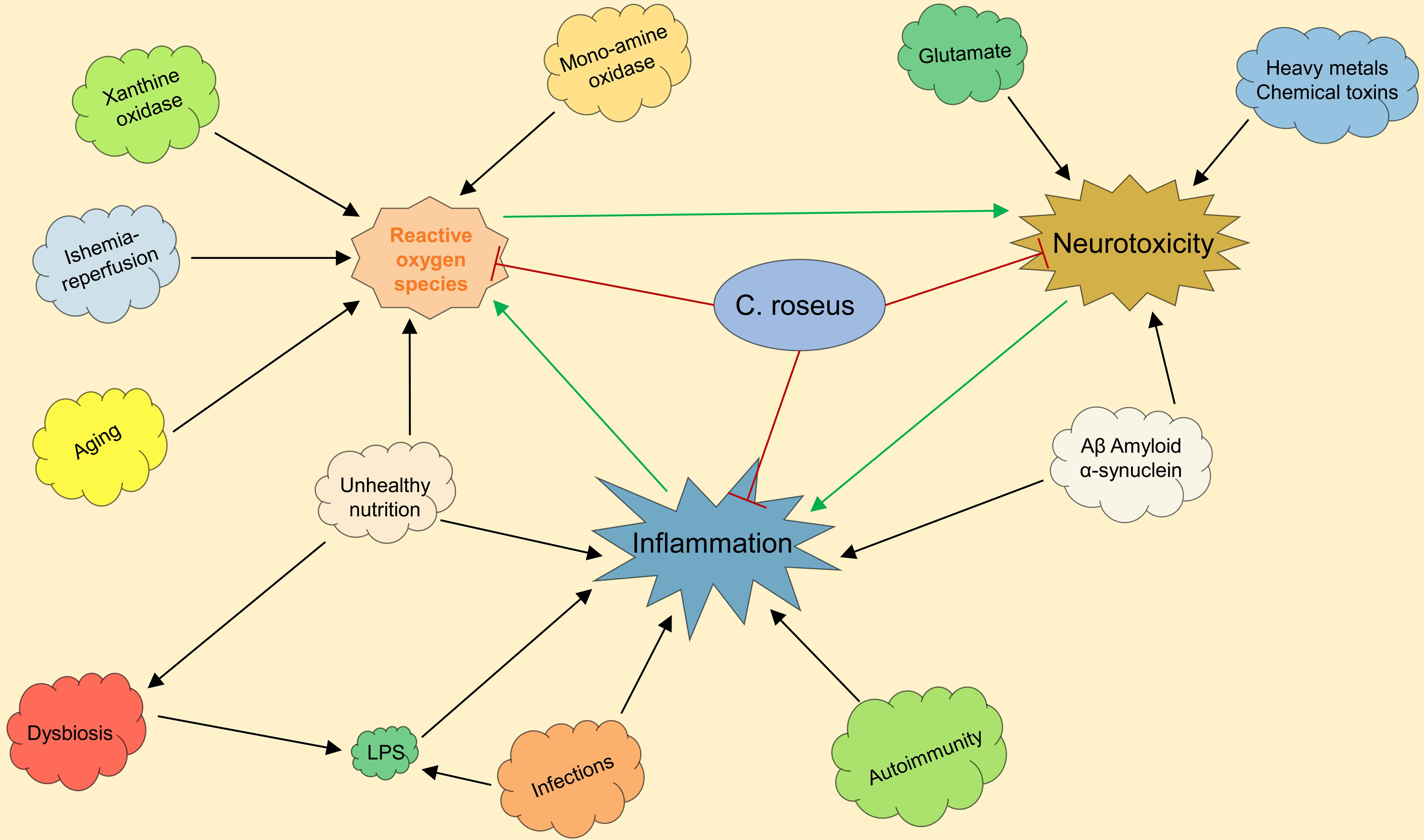 Antioxidant action of <italic>C. roseus: C. roseus</italic> has potent antioxidant properties by neutralizing reactive oxygen species, reducing neurotoxicity, and decreasing inflammation.