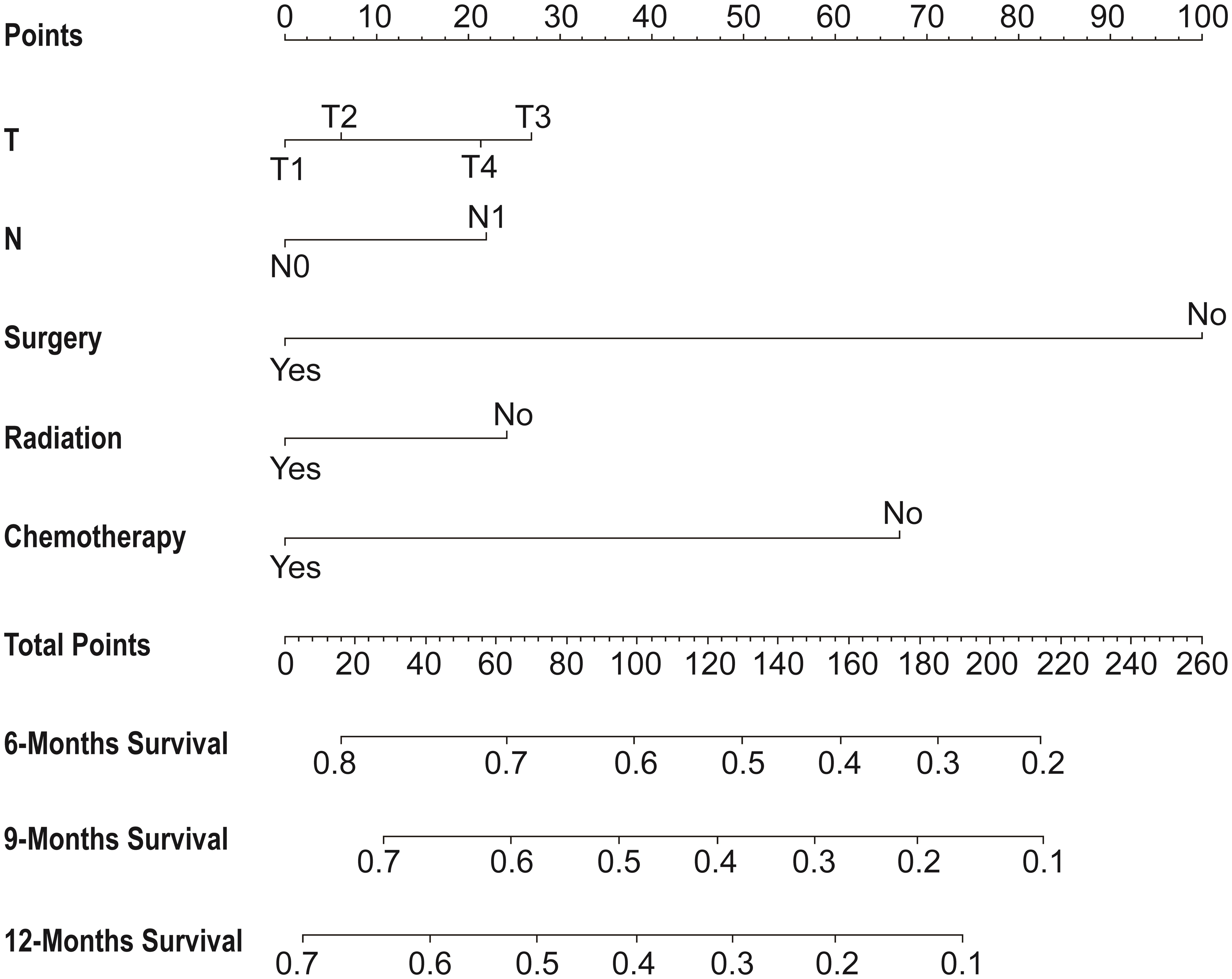 A prognostic nomogram for predicting the OS of HCC patients with DM at 6, 9 and 12 months.