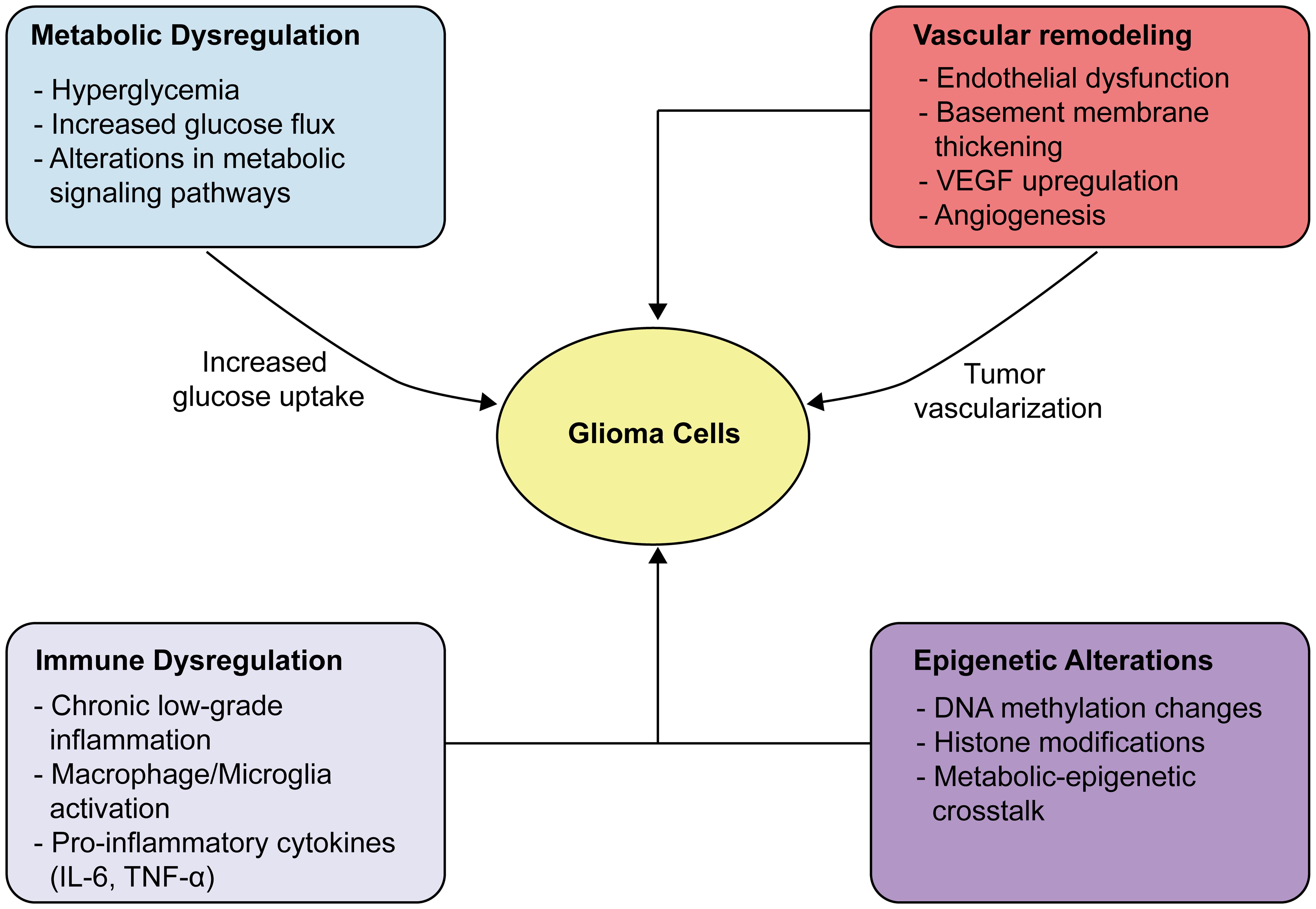 Mechanistic interplay between diabetes and glioma progression.
