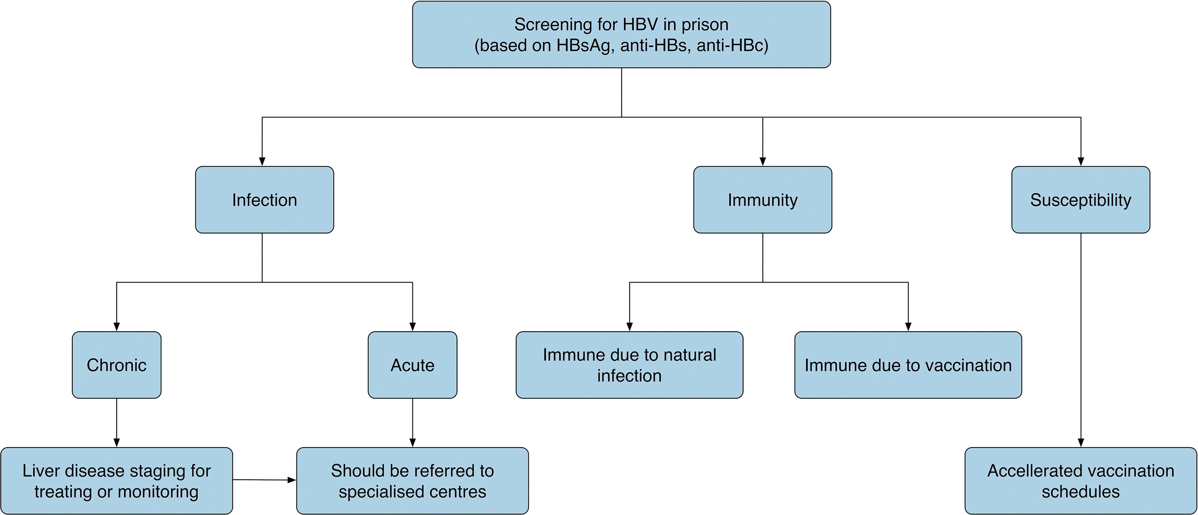 Proposed algorithm after screening for HBV infection in prisoners.