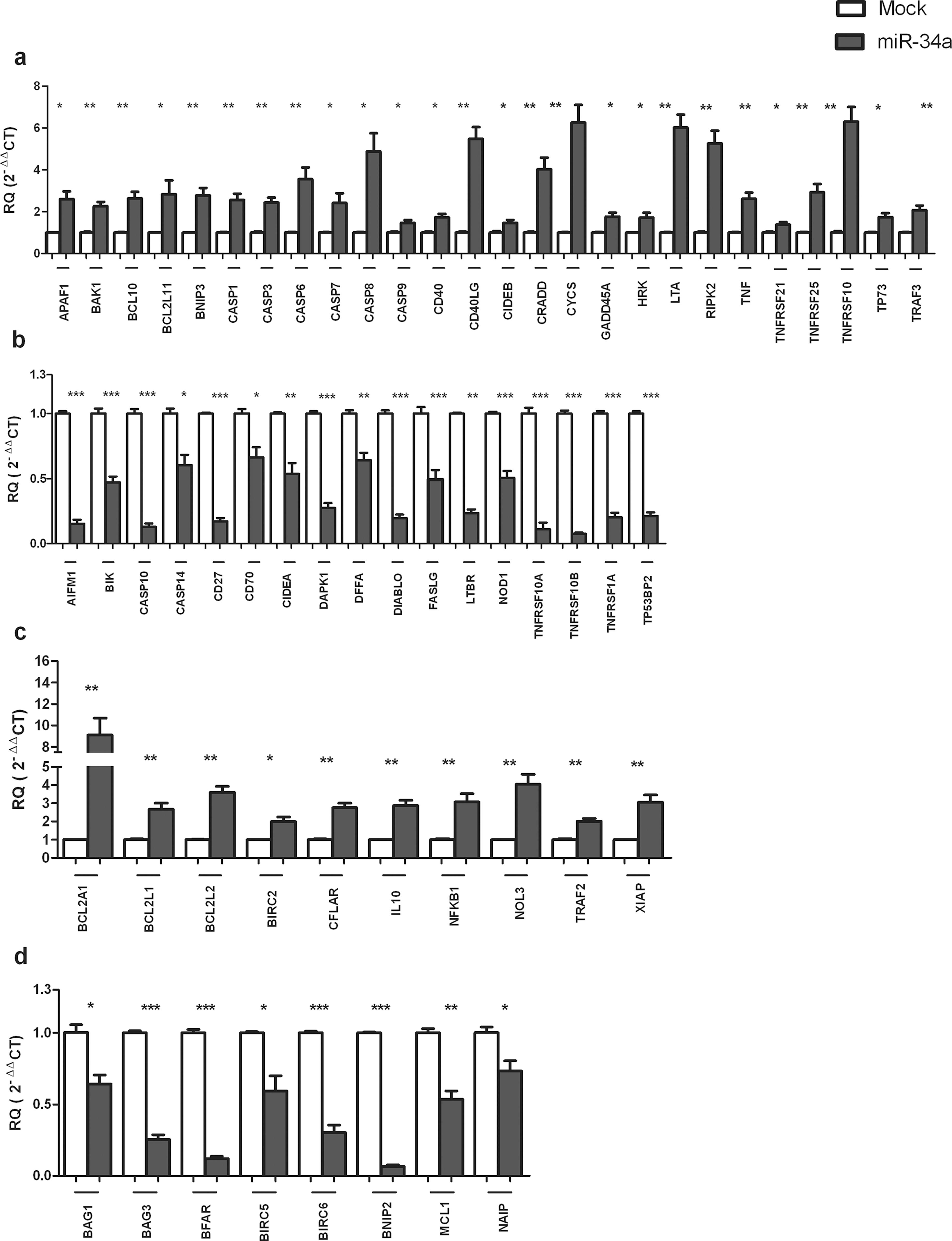 Impact of miR-34a on the expression of pro-apoptotic and anti-apoptotic genes.