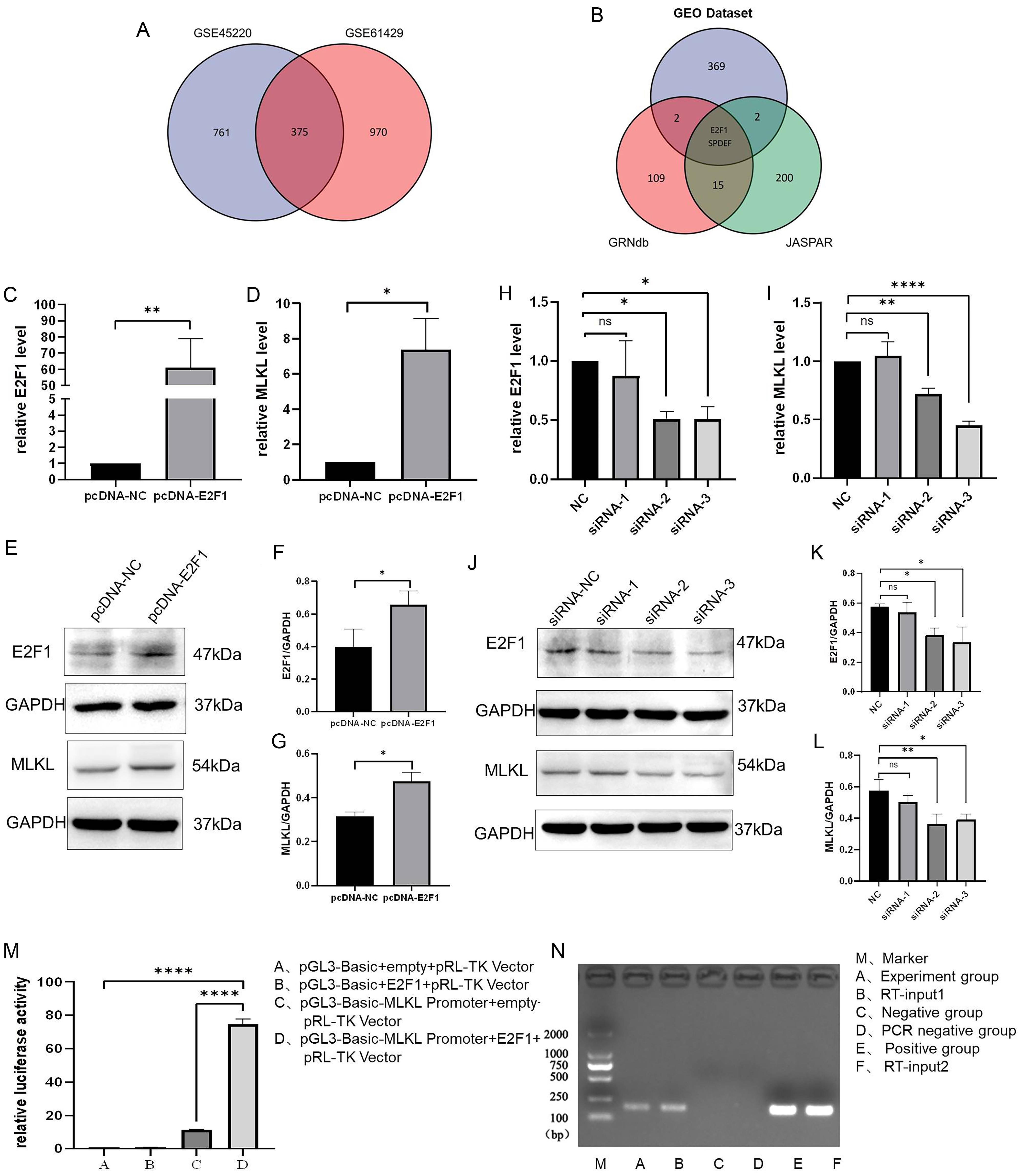 The analysis of regulation for MLKL.