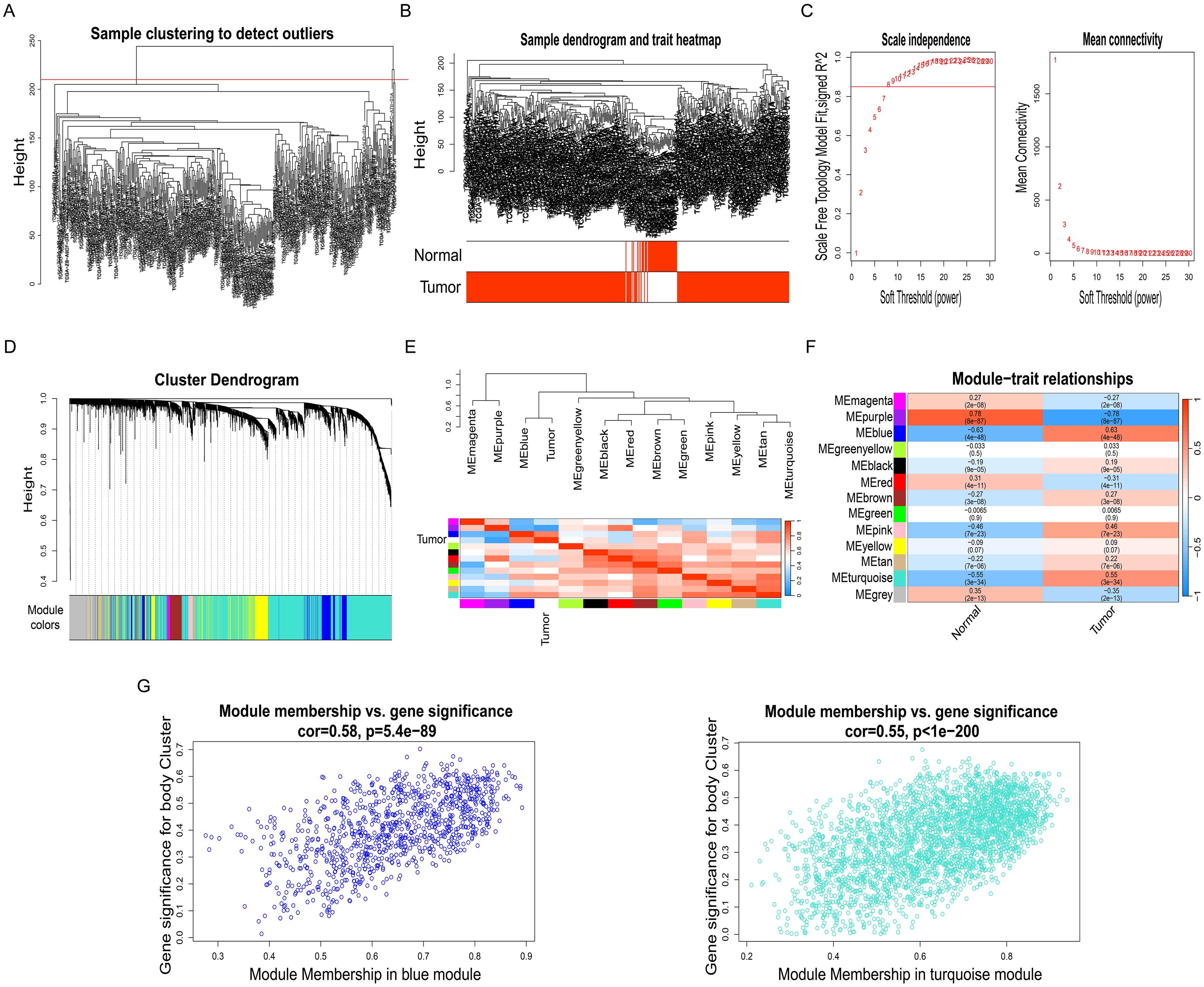 Detection of module genes using WGCNA.
