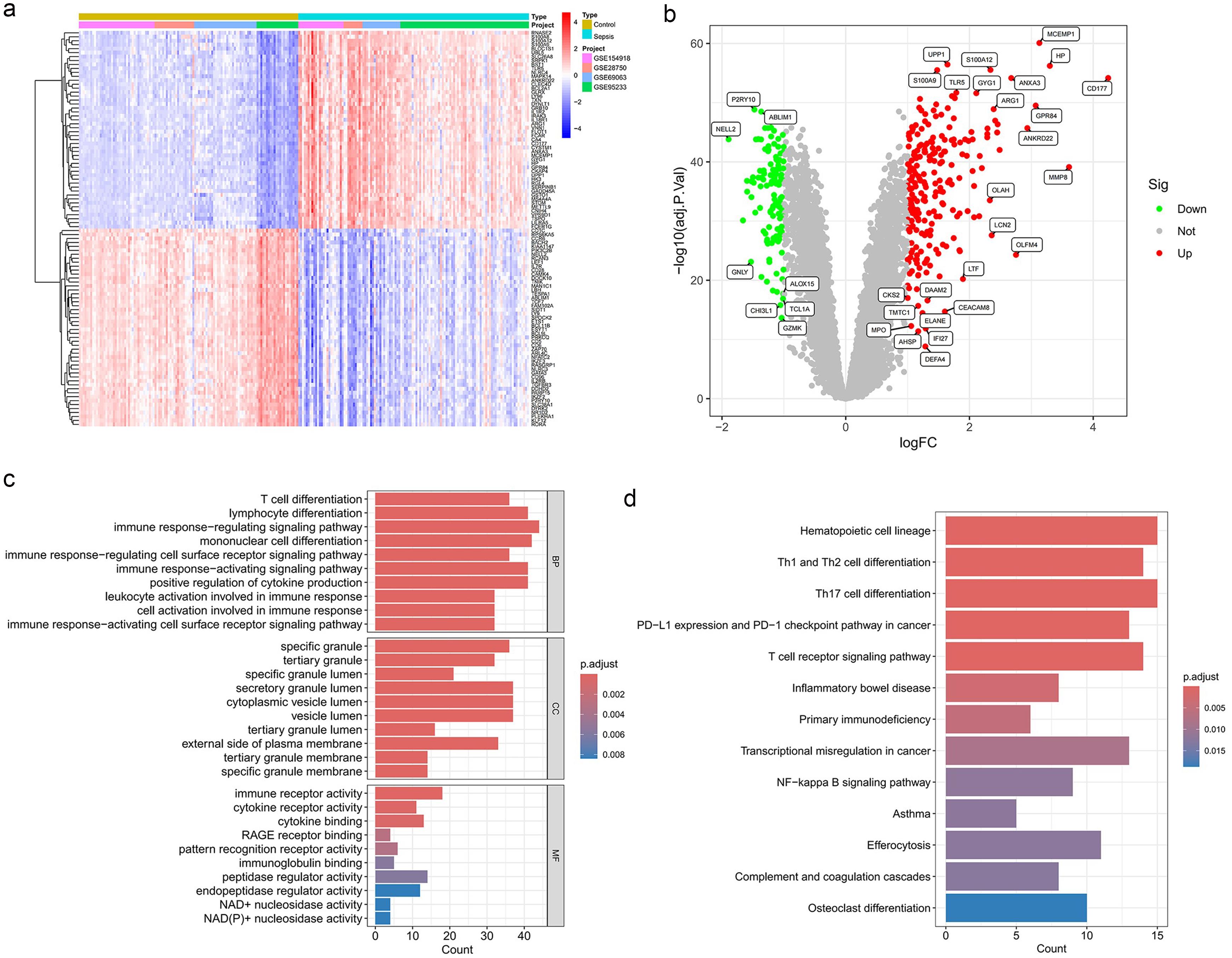 Differential expression analysis and functional enrichment.