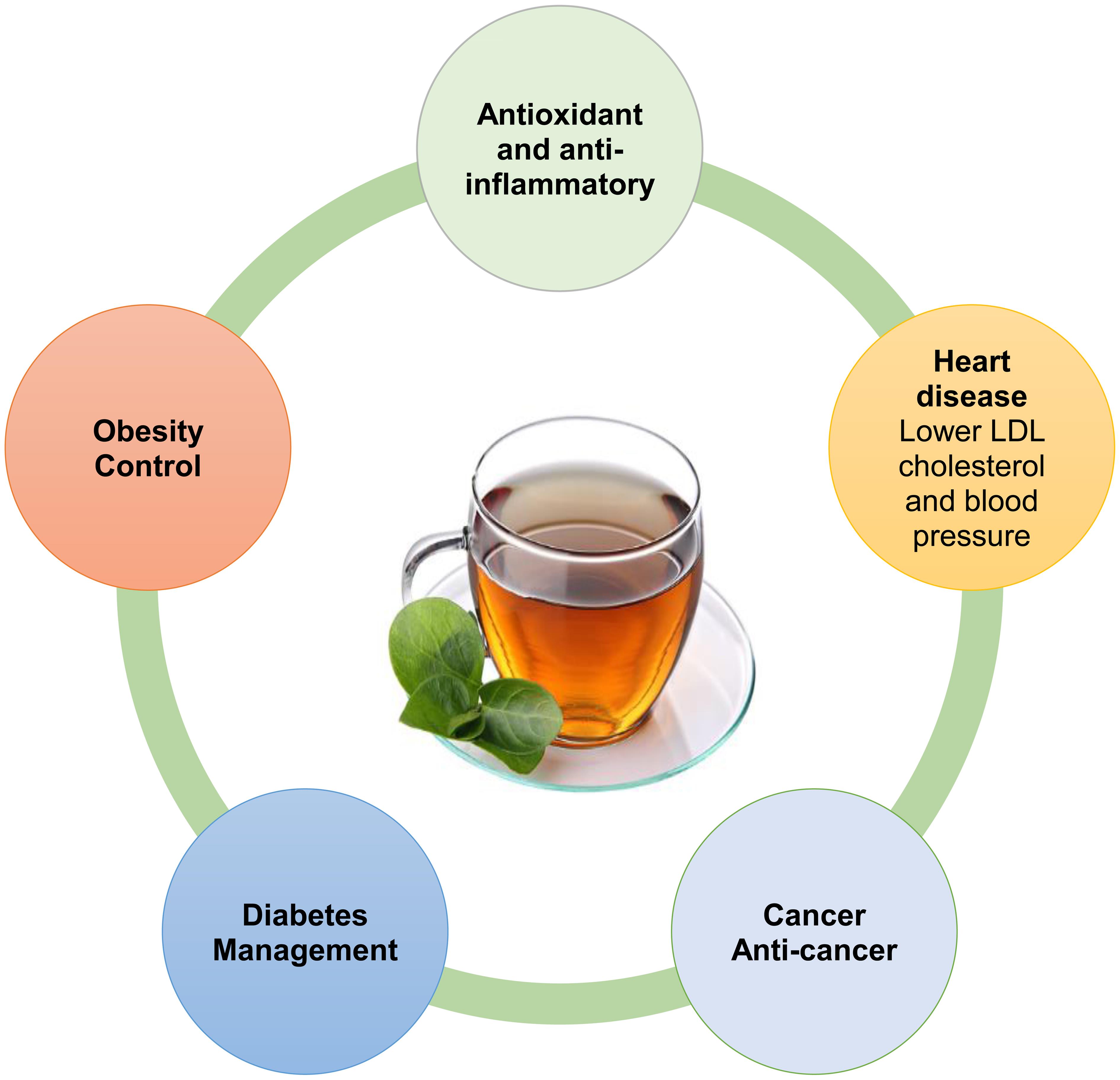 Green tea’s potential benefits in managing lifestyle diseases.