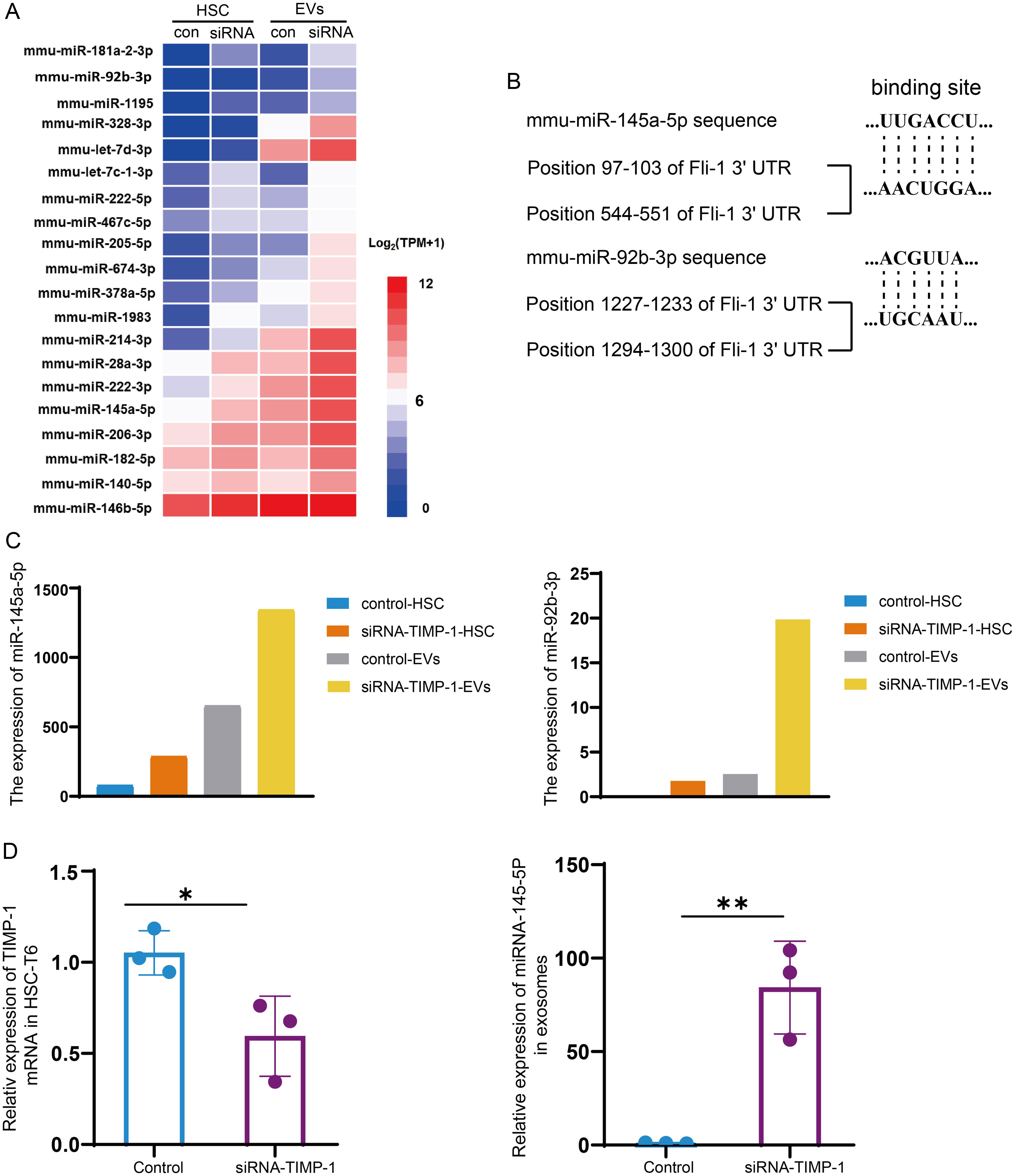 Comparison of HSC- and EV-derived miRNAs’ signatures between NC and siRNA-TIMP-1 treated HSCs.